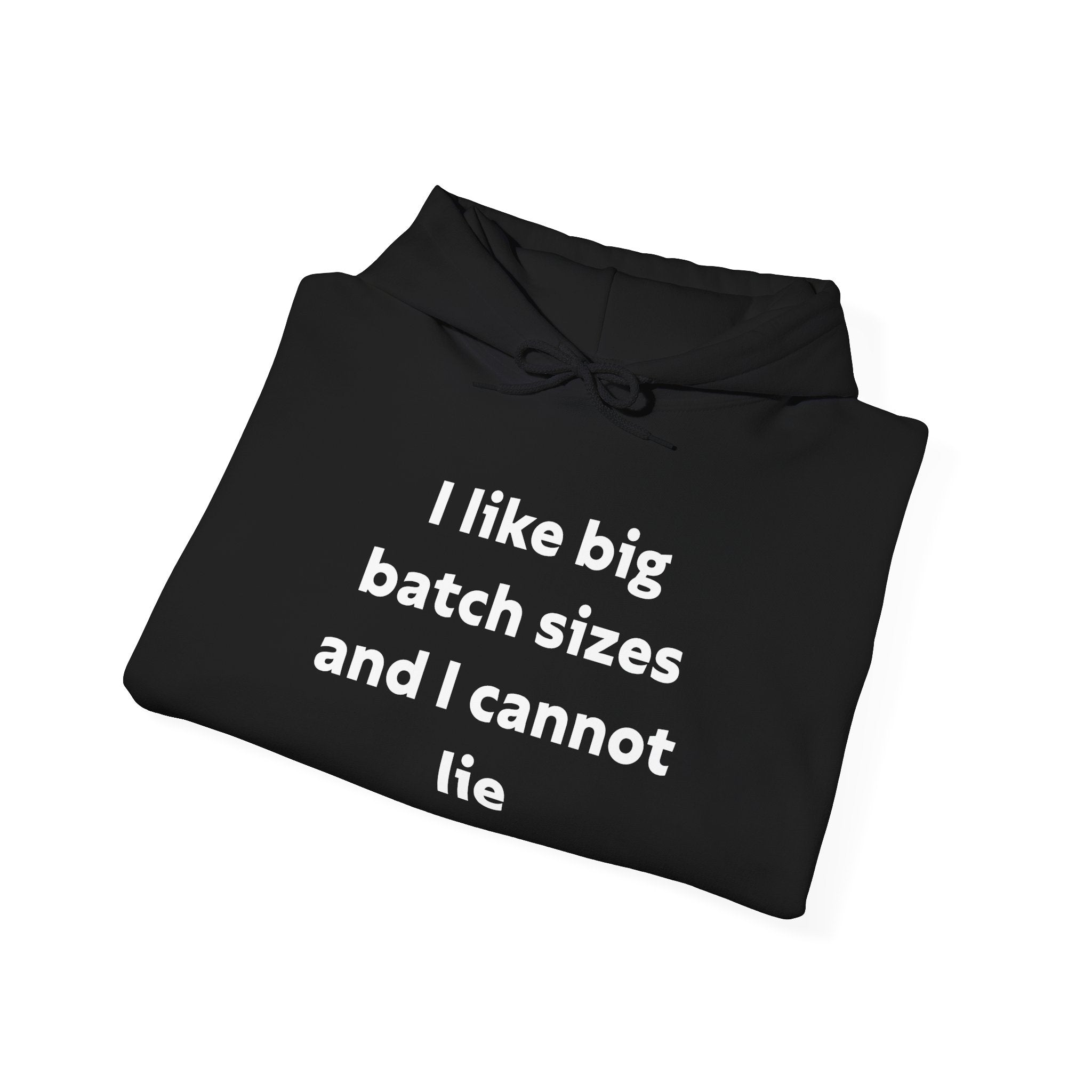 I Like Big Batch Sizes and I Cannot Lie - Hooded Sweatshirt