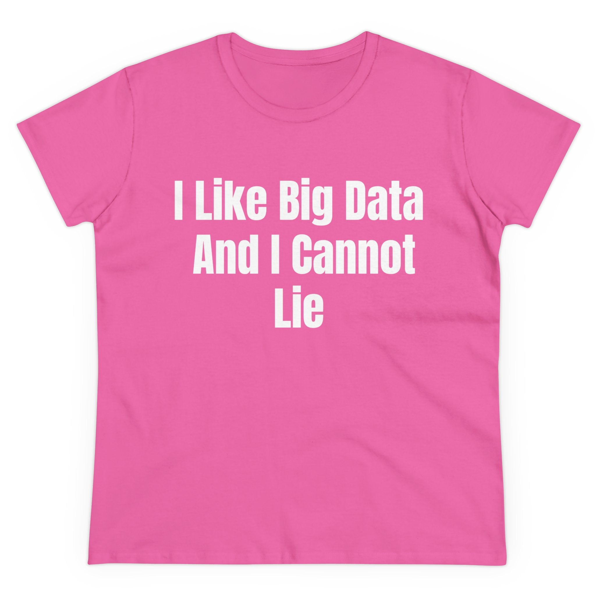 I Like Big Data And I Cannot Lie - Women's Tee