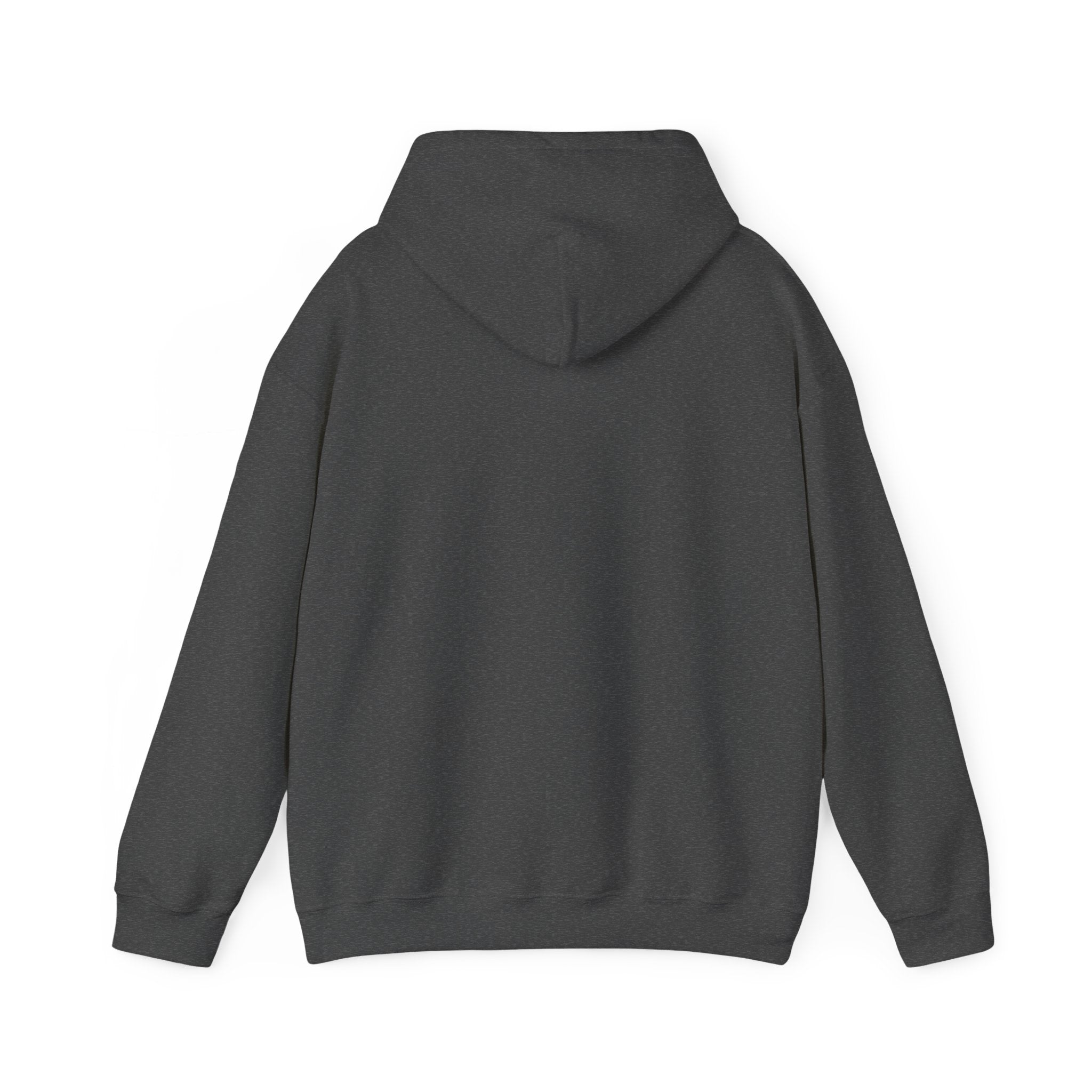 A back view of the RU - Hooded Sweatshirt in dark gray, showcasing ultimate comfort and style with its long sleeves, displayed against a white background.