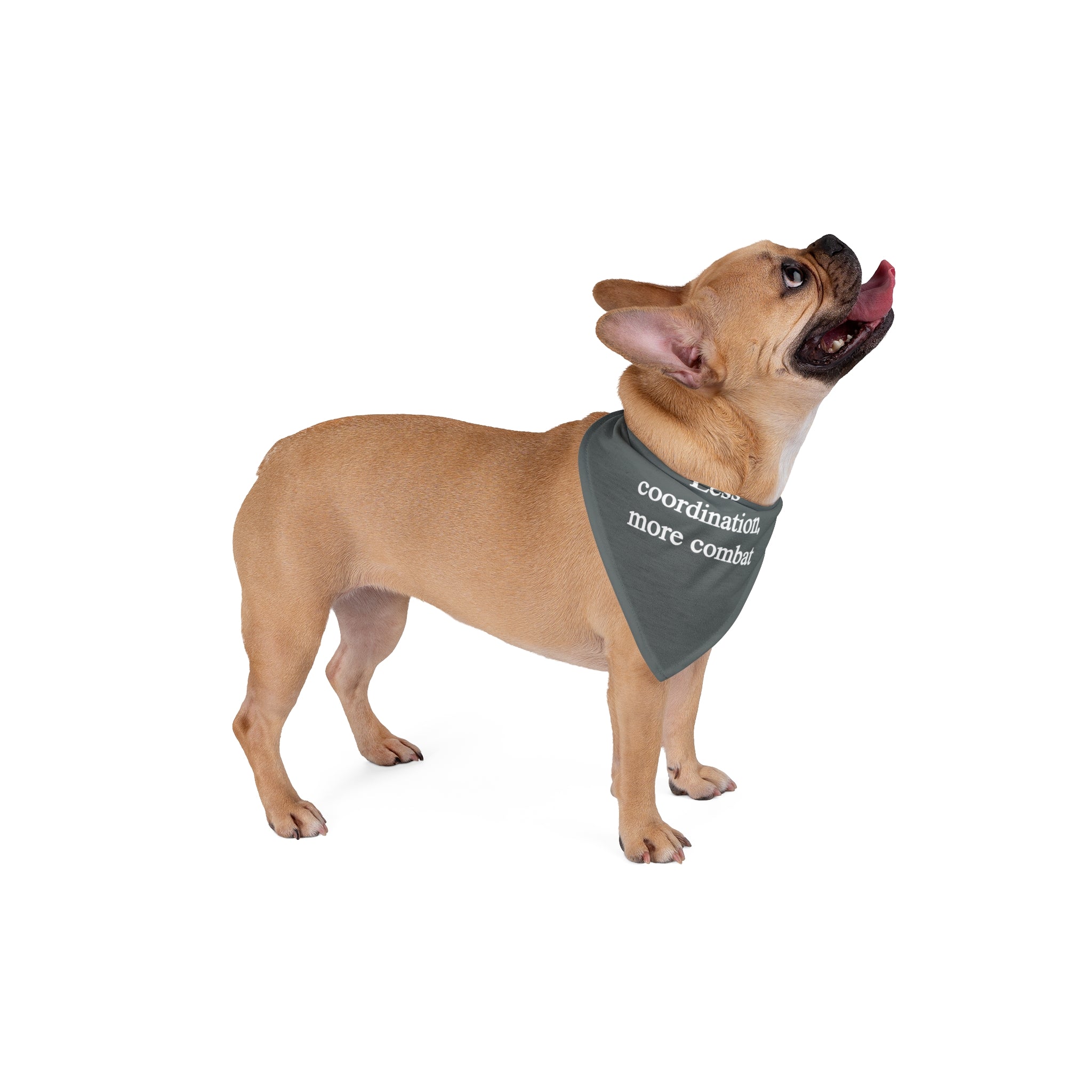 A French Bulldog, adorned in the "Less Coordination More Combat" pet bandana, stands on a white background, looking upward with its tongue out. The fashionable green bandana, made from soft-spun polyester, adds a touch of flair to the pet's style.