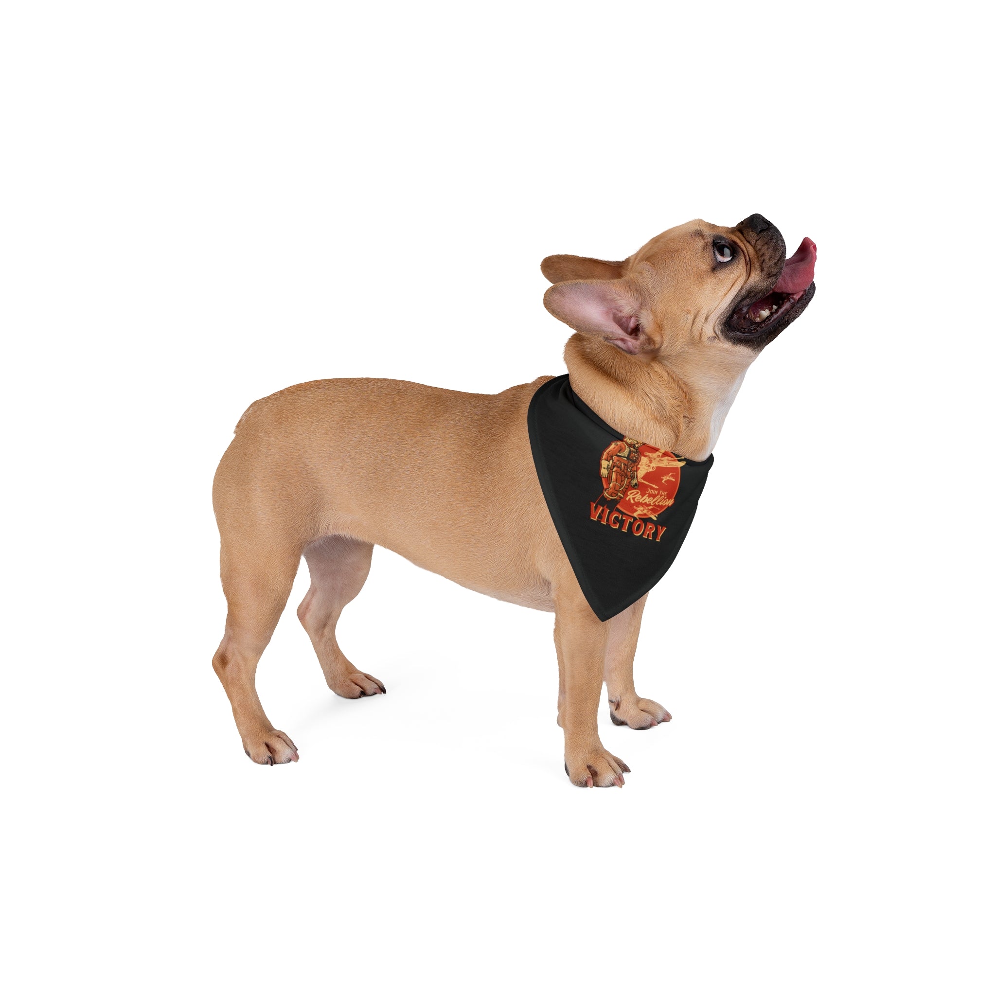 A light brown French Bulldog wearing a "Wings of Victory - Pet Bandana" with a red and gold emblem looks upward with its mouth open and tongue out, showcasing style and comfort for pets.