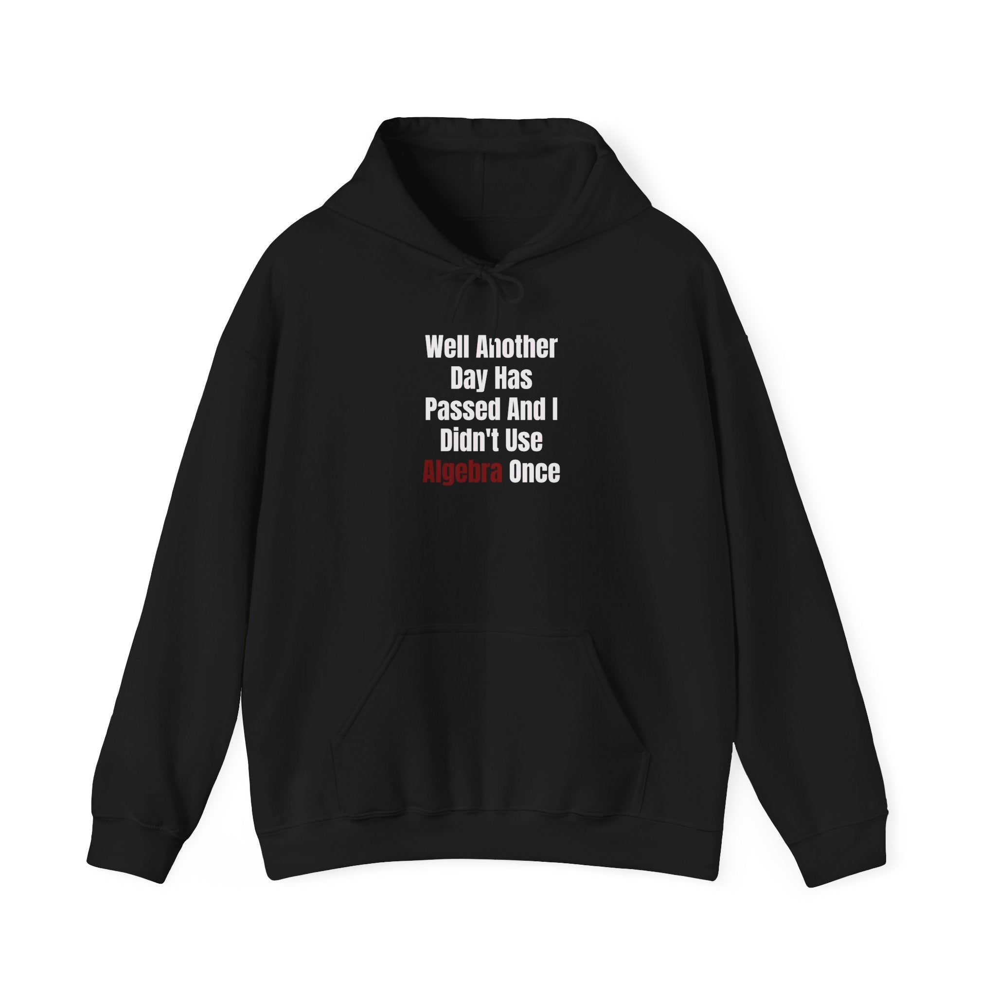 Well Another Day Has Passed - Hooded Sweatshirt