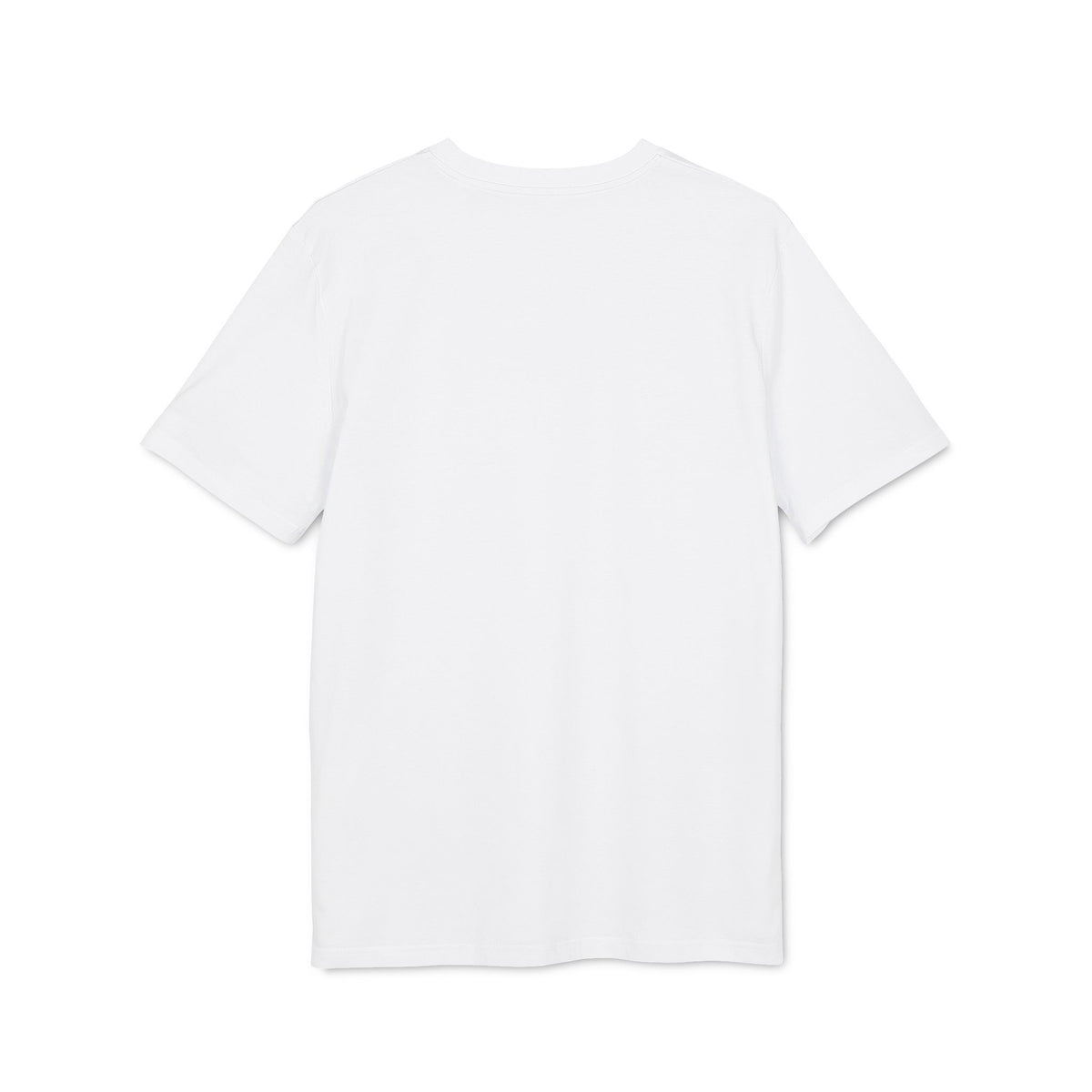 Time Travel University Organic Tee