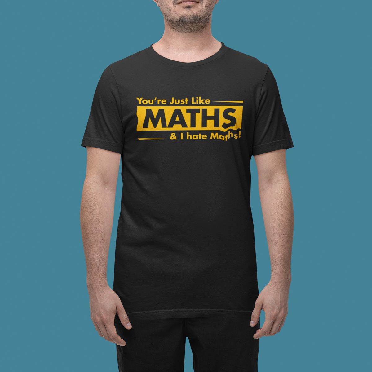 You Are Just Like Maths T print tee front view