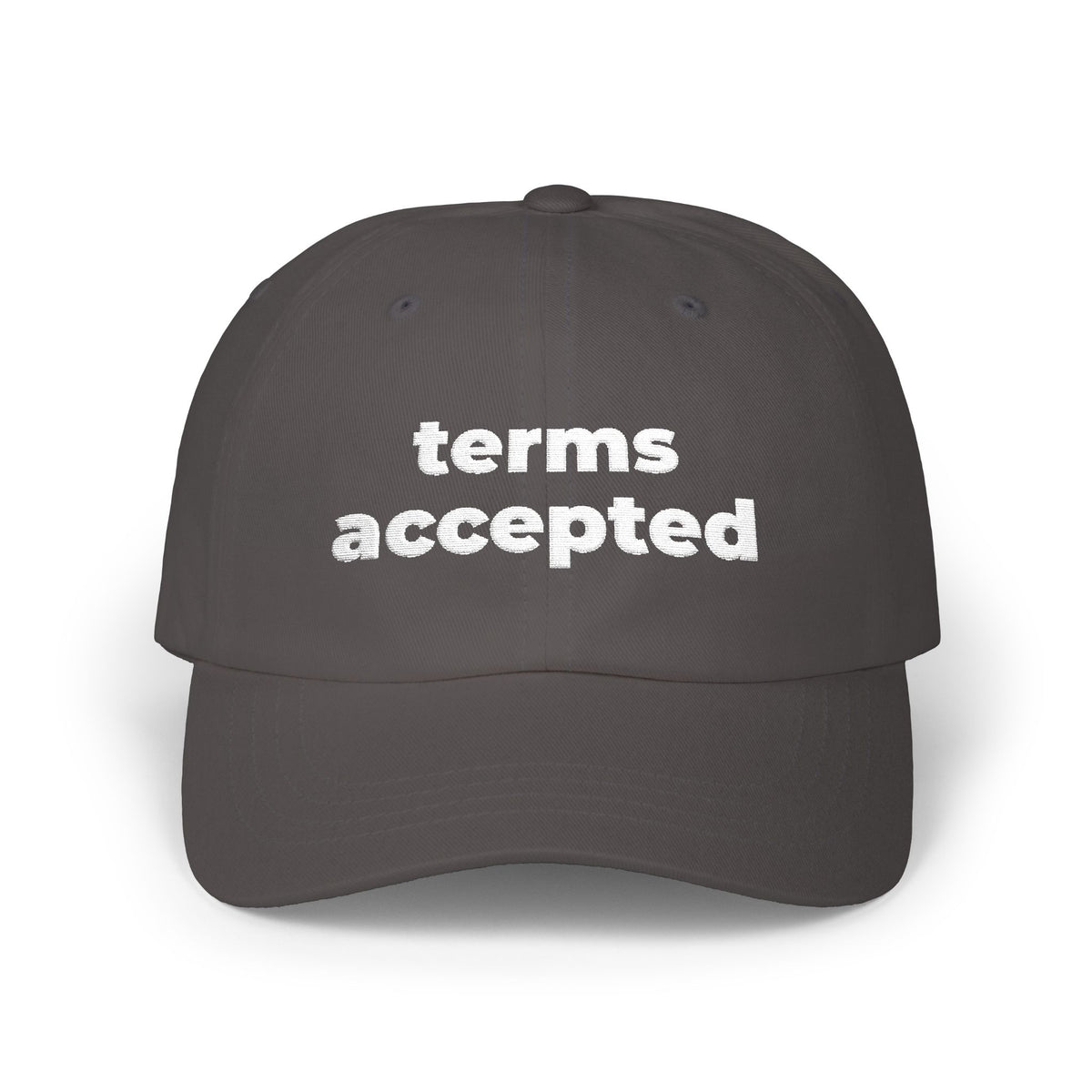 Terms Accepted Dad Cap