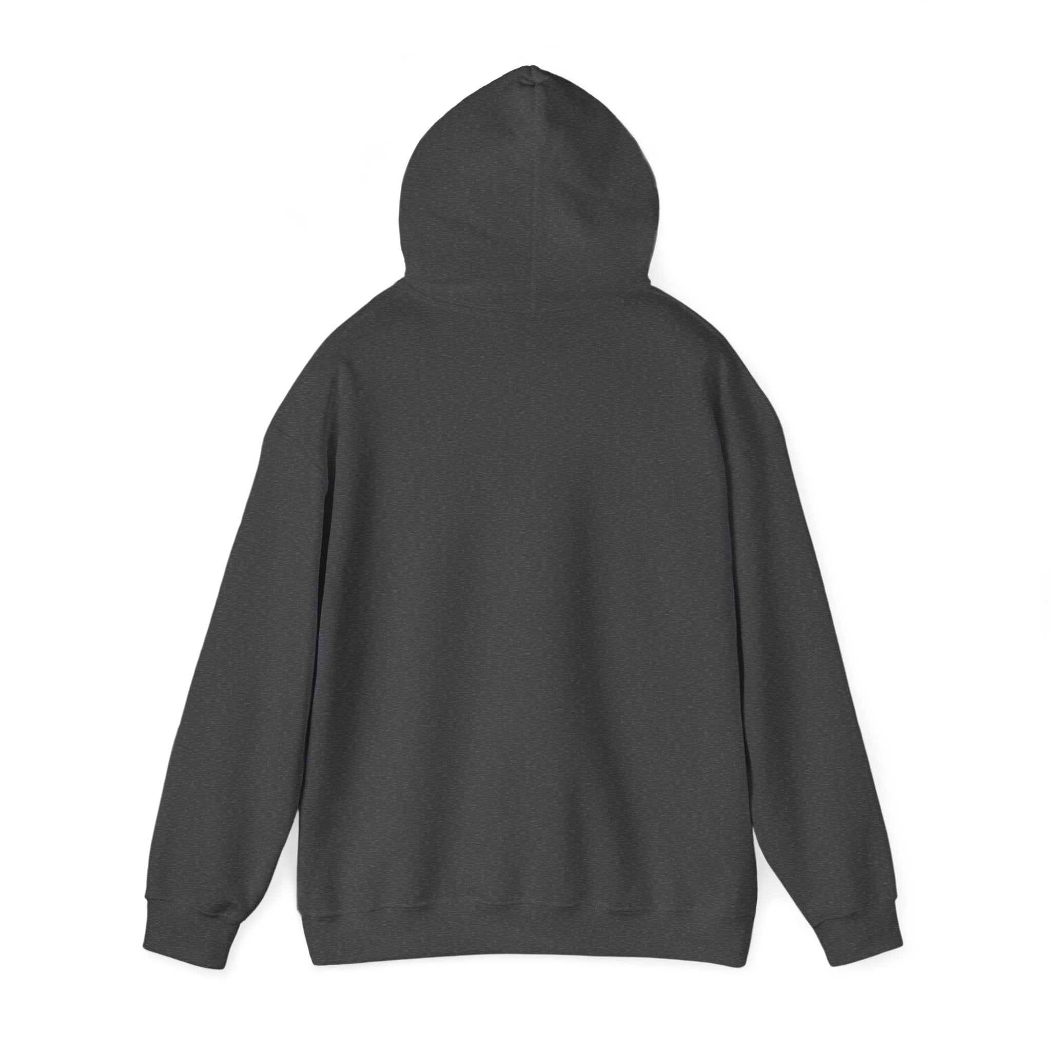 Back view of a plain dark gray RU - Hooded Sweatshirt showcasing the hood and long sleeves, epitomizing style and ease, isolated on a white background.