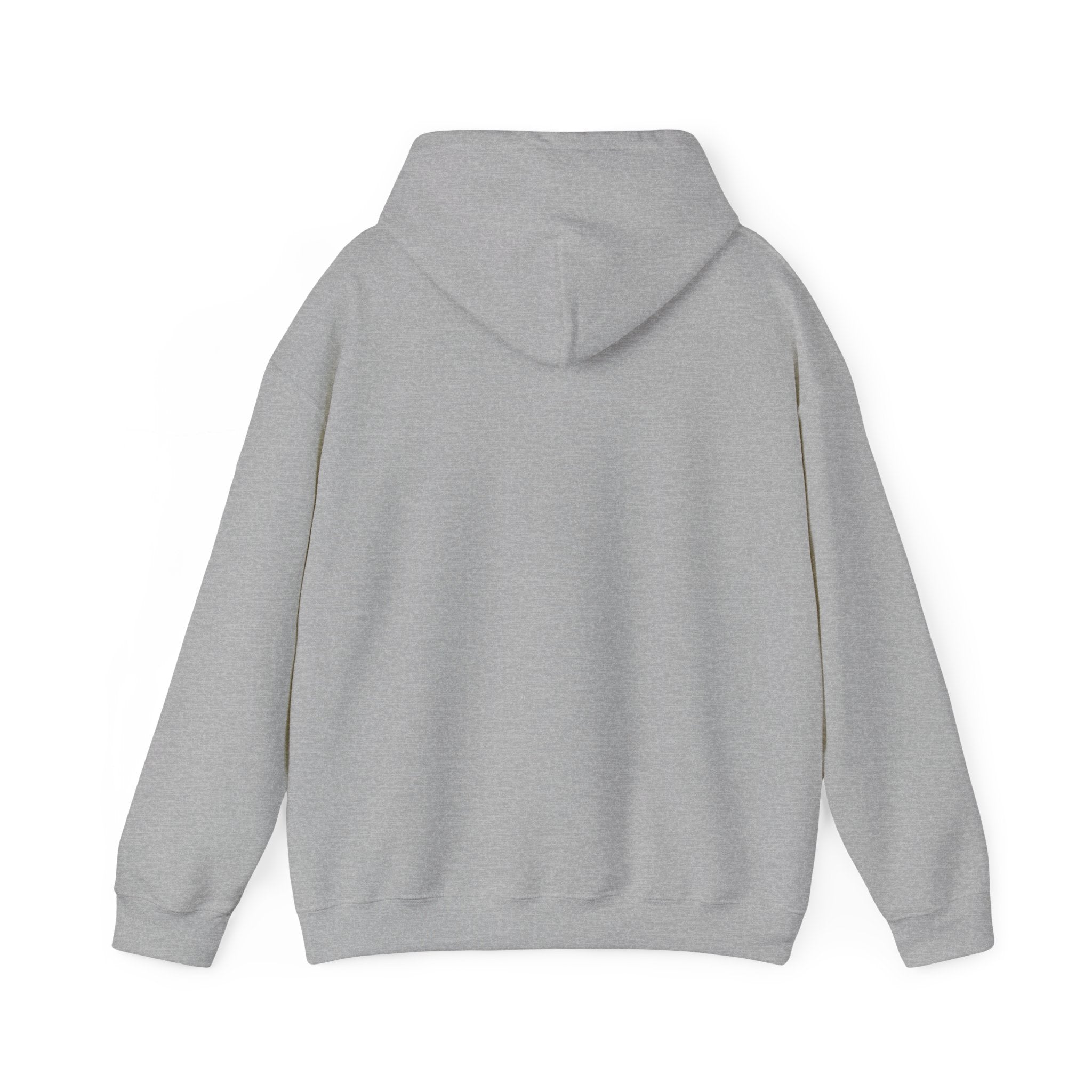 A gray, cozy **I am Older Than the Internet - Hooded Sweatshirt** with long sleeves, shown from the back, embodies a timeless style that feels older than the internet.
