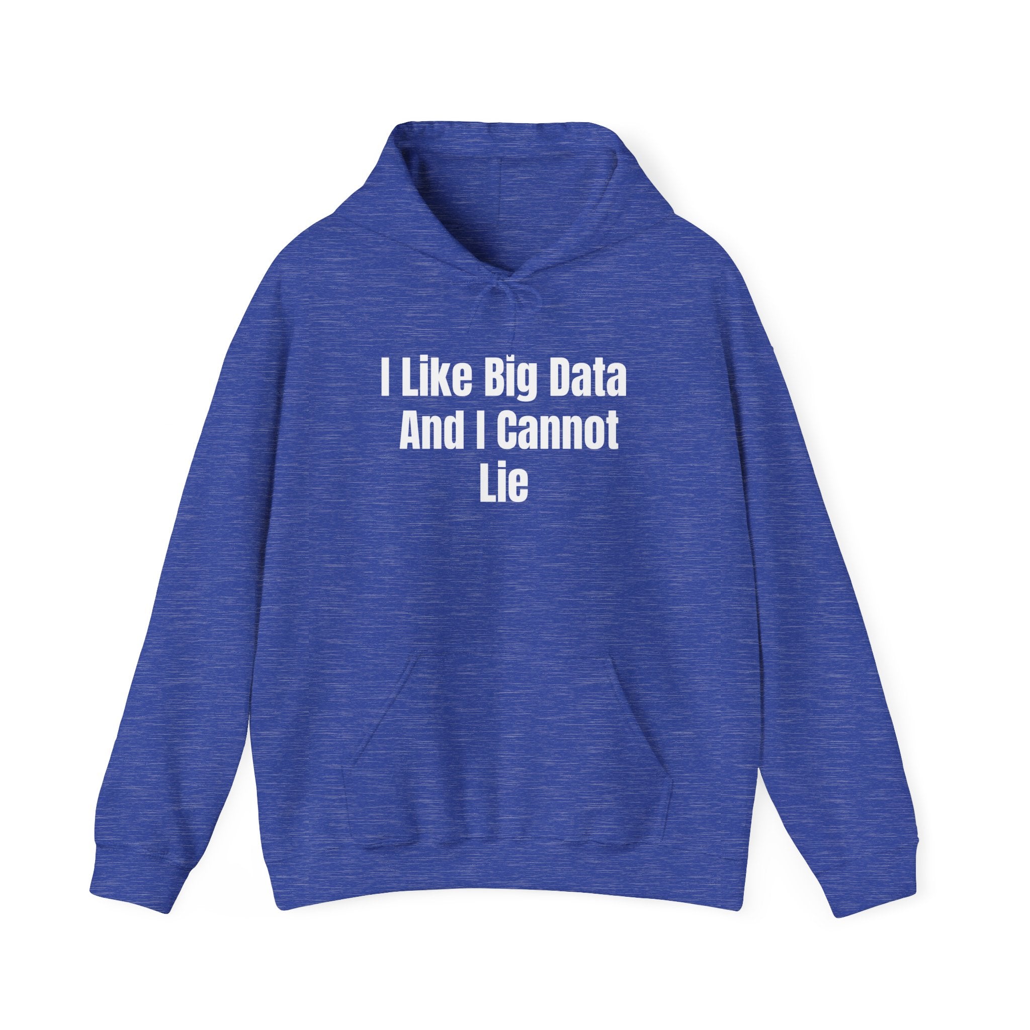 I Like Big Data And I Cannot Lie - Hooded Sweatshirt