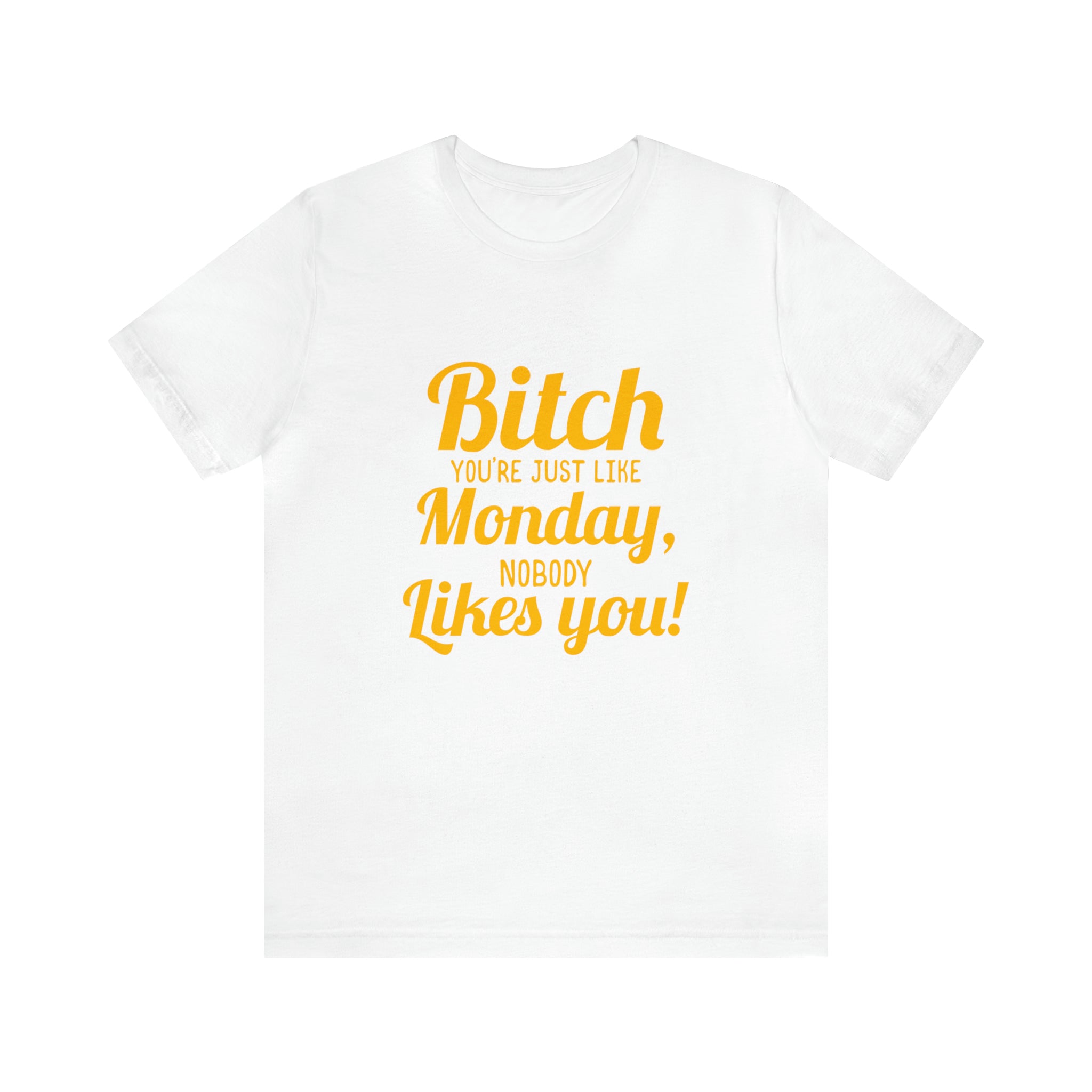 Bitch the style likes you unisex Bitch you are just like Monday nobody likes you T-shirt.