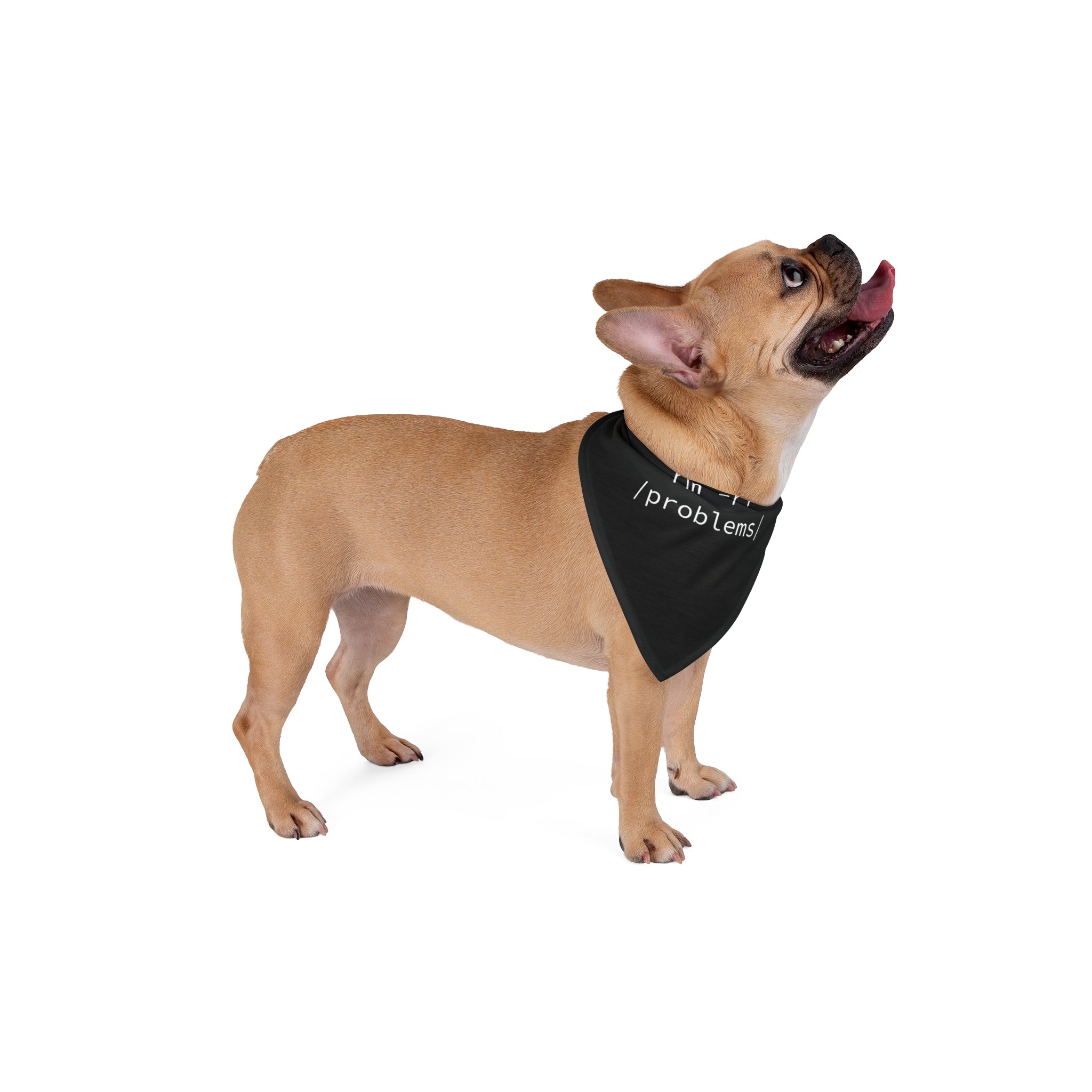 A tan French Bulldog wearing the "RMRF Problems" black pet bandana, crafted from soft-spun polyester, stands looking upward, highlighting its elegant design with the text "problems.