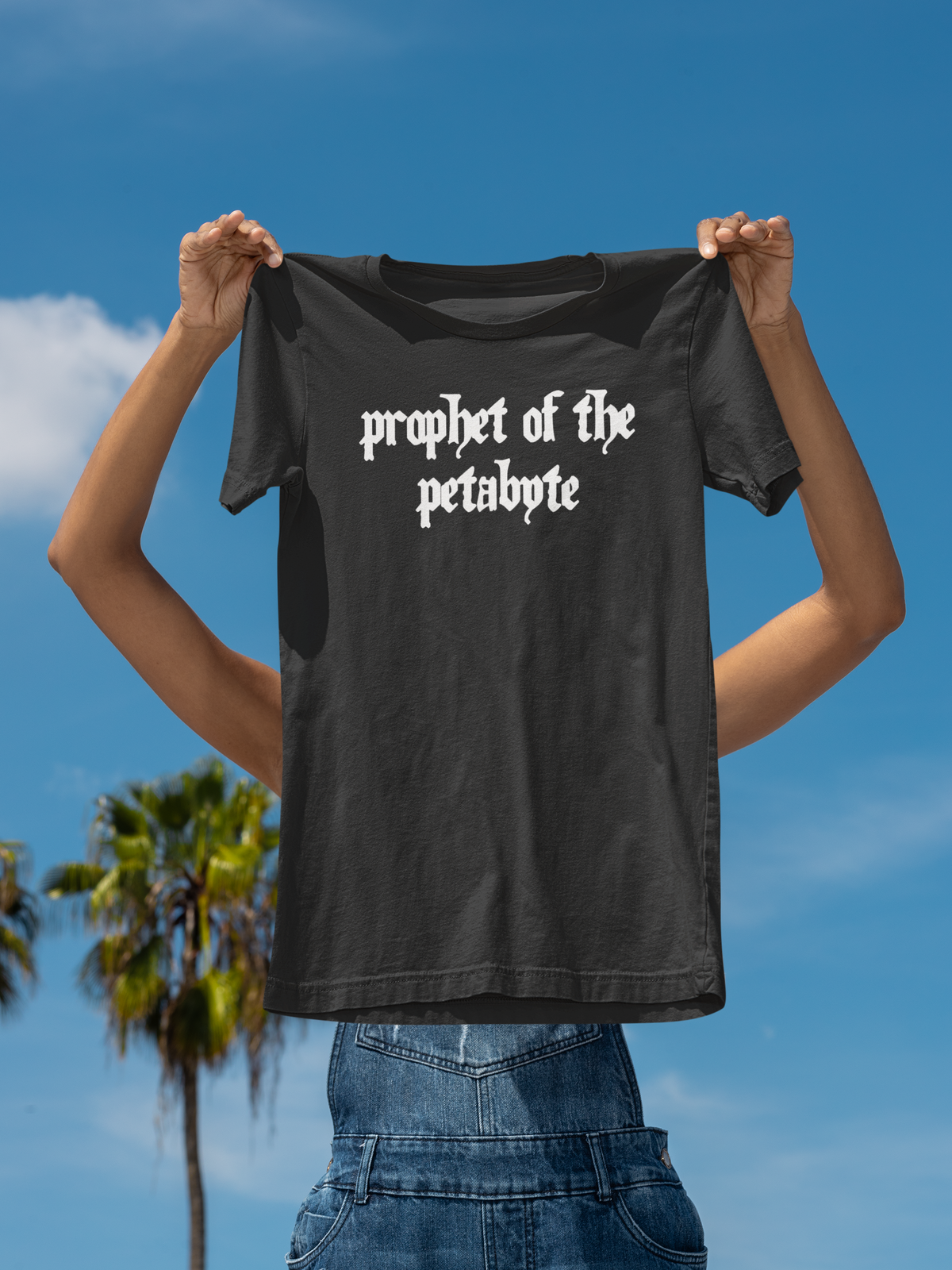 'Prophet of the Petabyte' t-shirt in black, person holding it up outdoors, funny gift for data scientists
