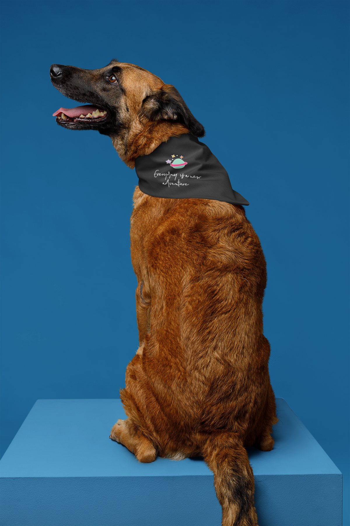 Everyday Is a New Adventure Pet Bandana | Motivational Dog Bandana | Adventure Pet Gift | Geekpsters