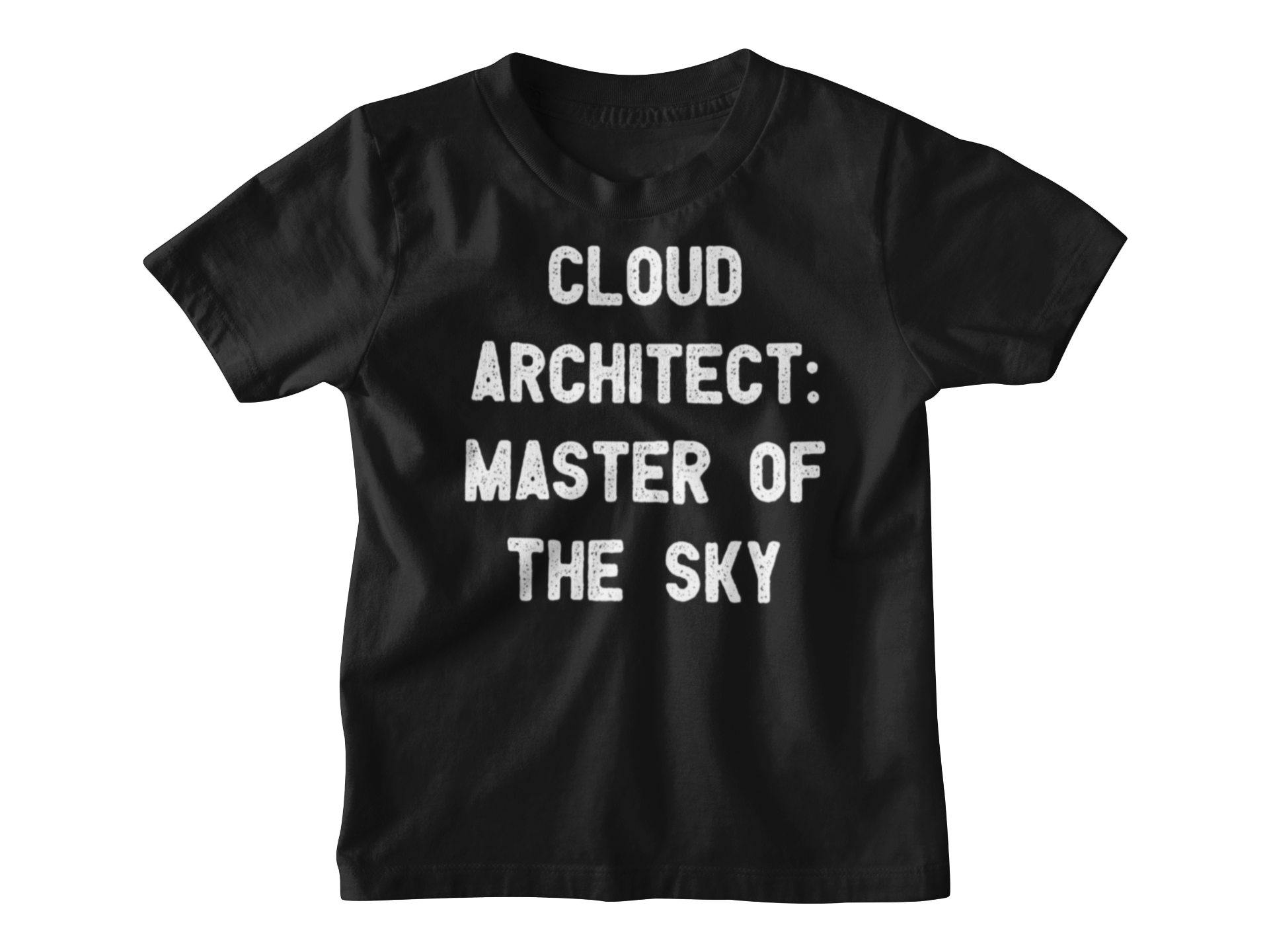 Cloud Architect Master of the Sky - Organic T-shirt