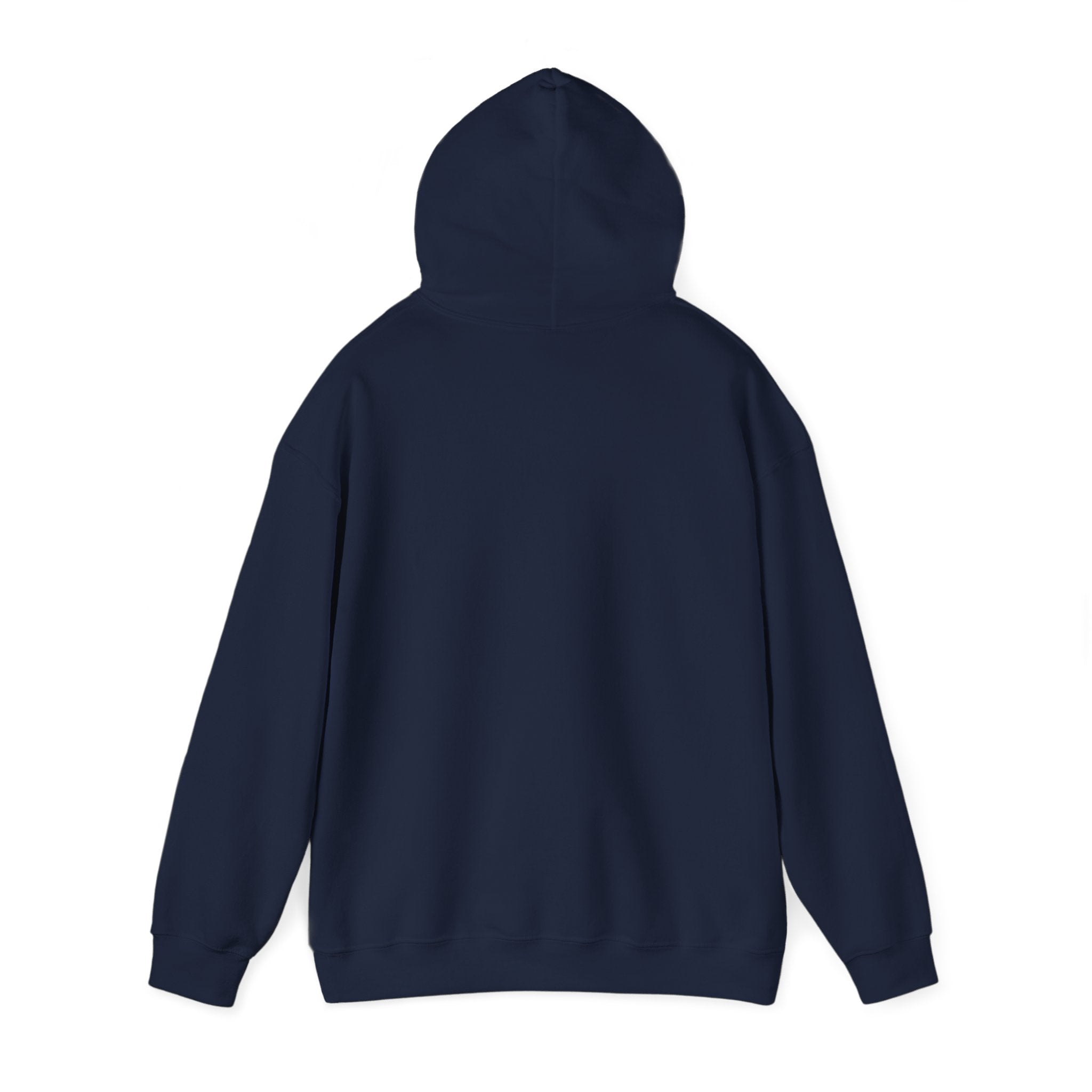 Back view of a Semaphore - Hooded Sweatshirt, showcasing a cozy classic fit with a hood and long sleeves, blending style and comfort.