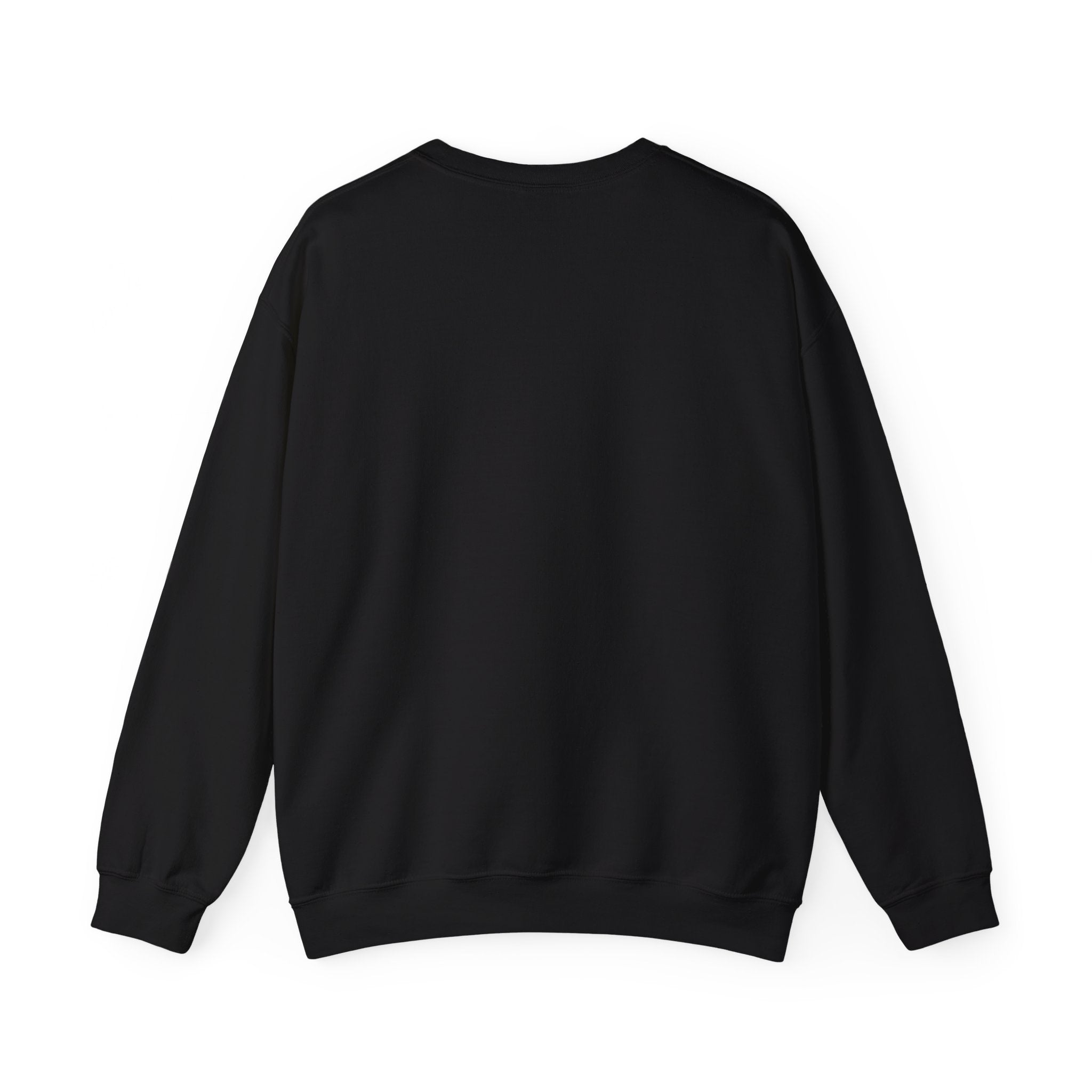 A plain black RG-B - Sweatshirt viewed from the back, perfect for comfort lovers.