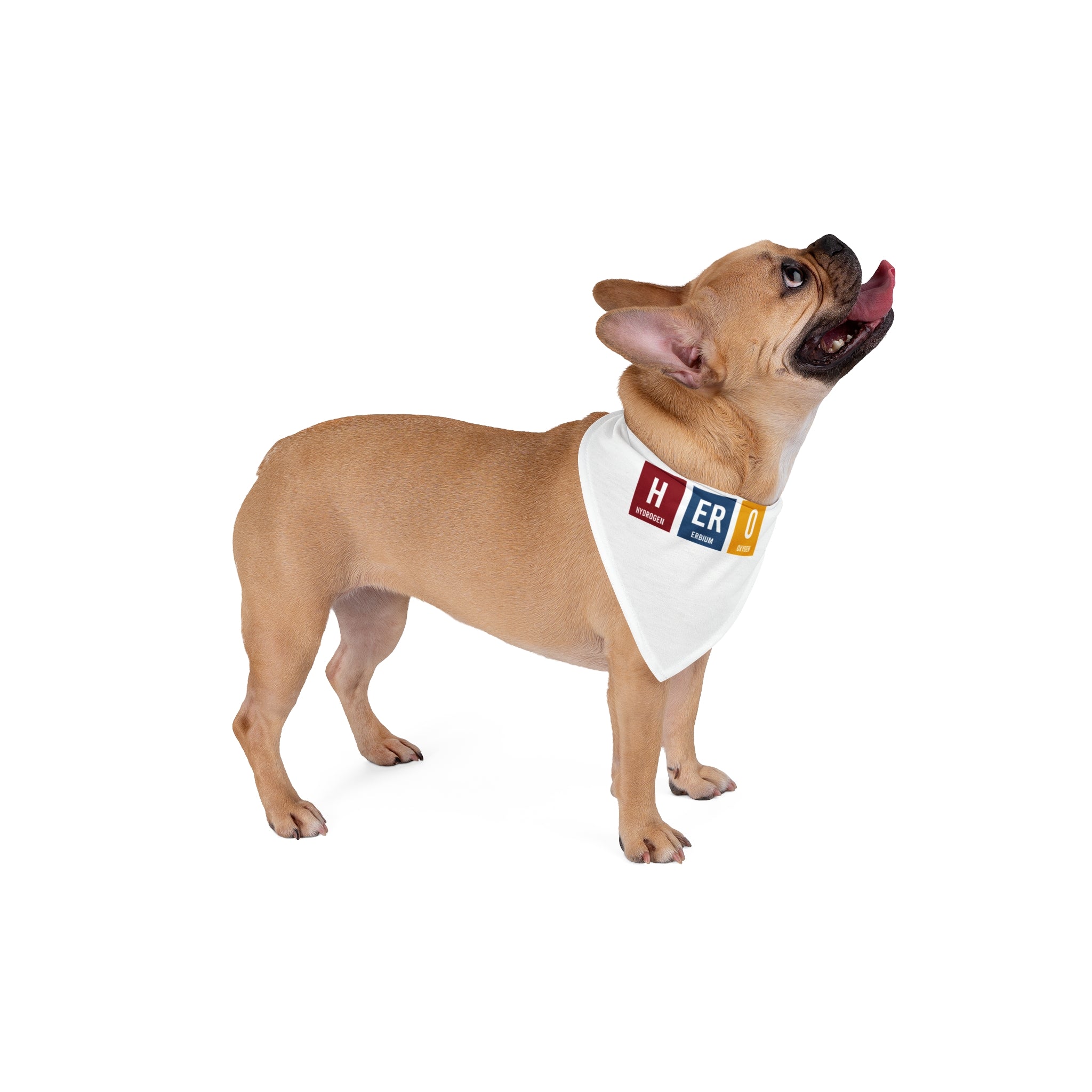 A small tan dog stands facing left, wearing a soft-spun polyester HERO - Pet Bandana with colorful letters spelling "HERO" on it. The dog's mouth is open and its tongue is out, showing off its charming pet-friendly demeanor.