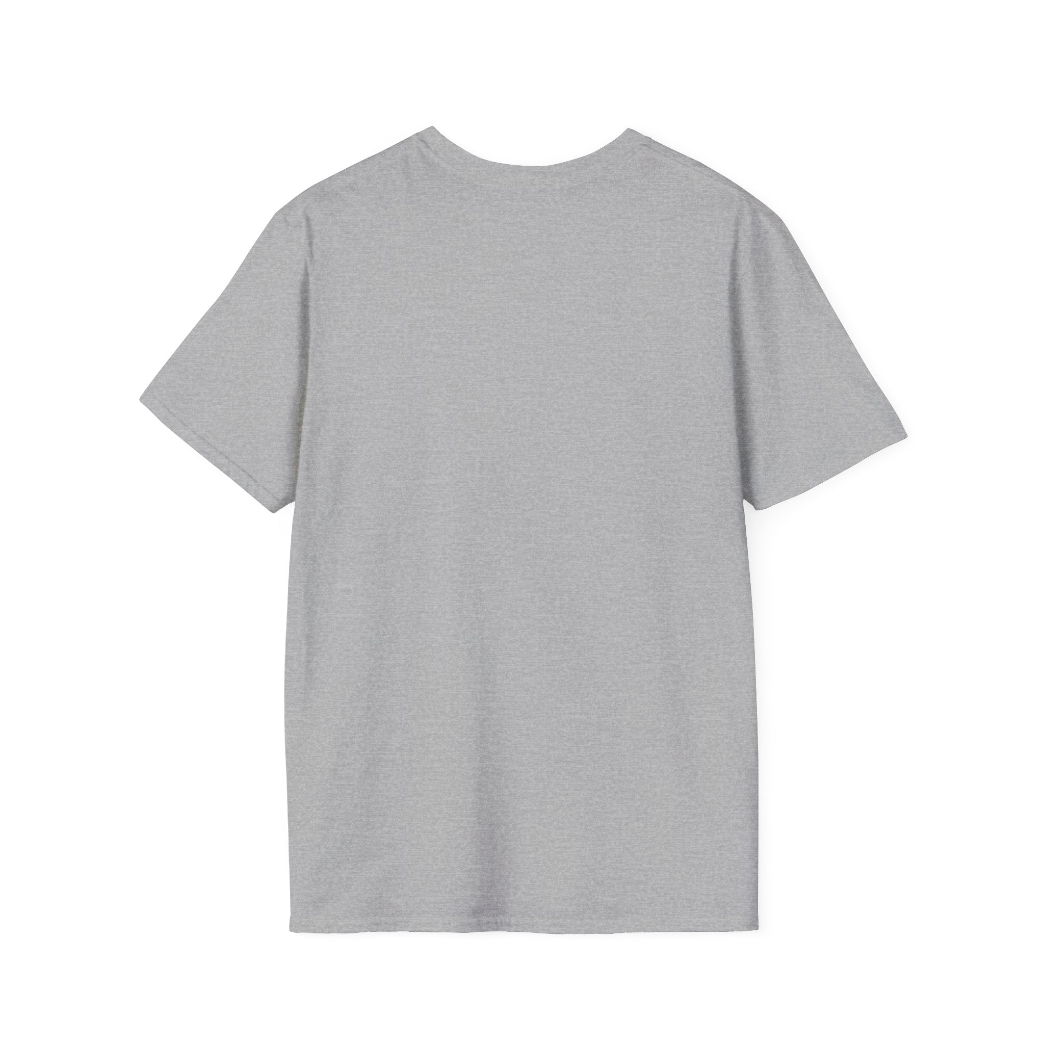 This plain gray Skater Angel t-shirt, shown from the back, boasts a relaxed fit perfect for any casual day.