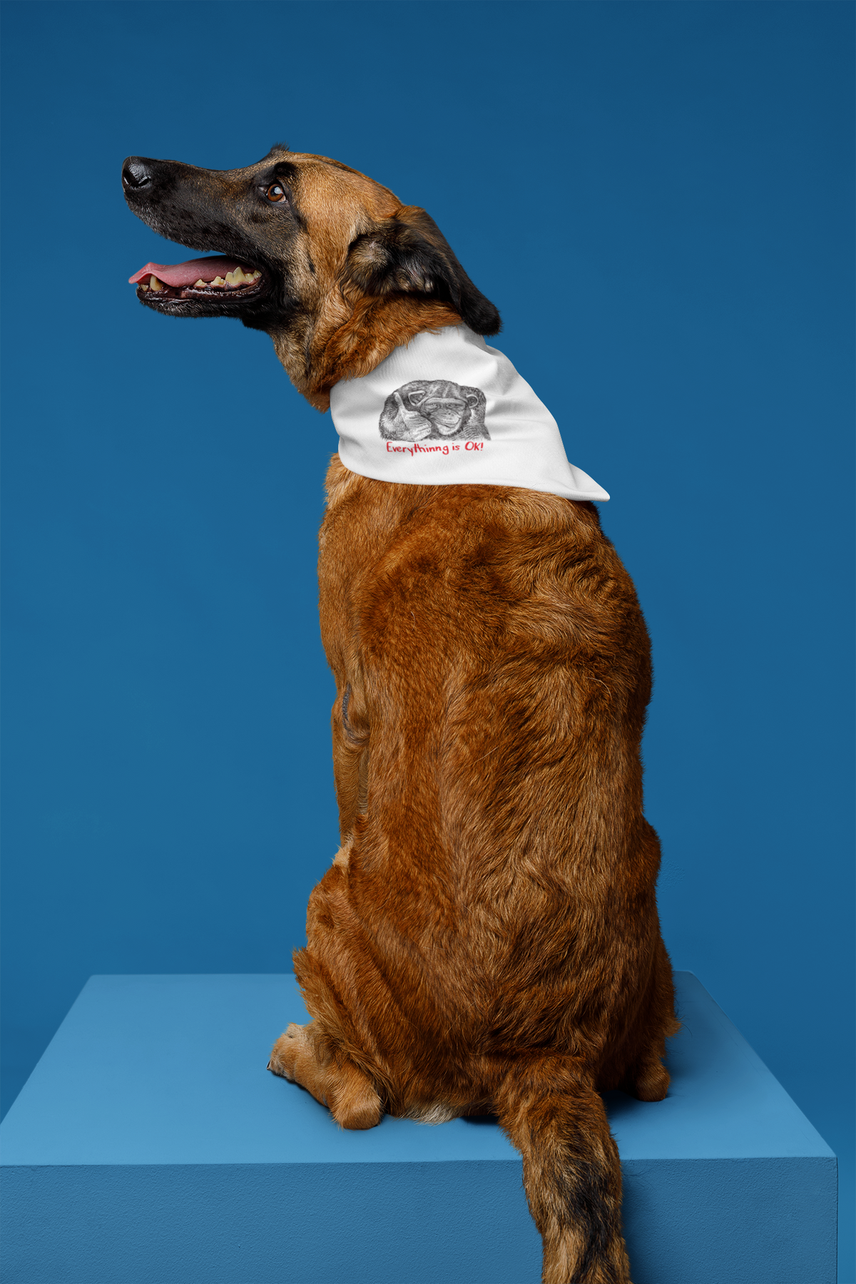 Everything Is OK Pet Bandana | Funny Dog Bandana | Meme Pet Gift | Geekpsters
