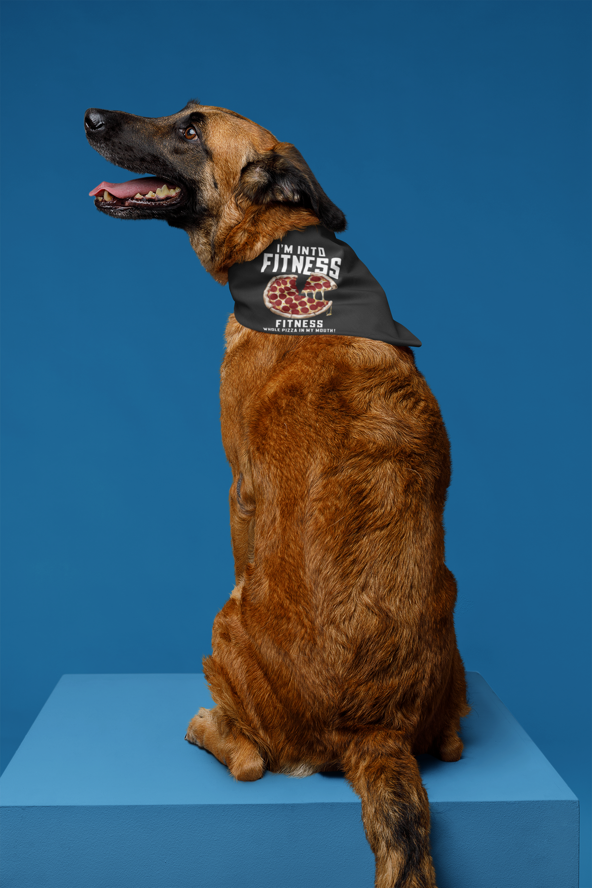 I'm Into Fitness Dog Bandana | Pizza Pun Pet | Geekpsters