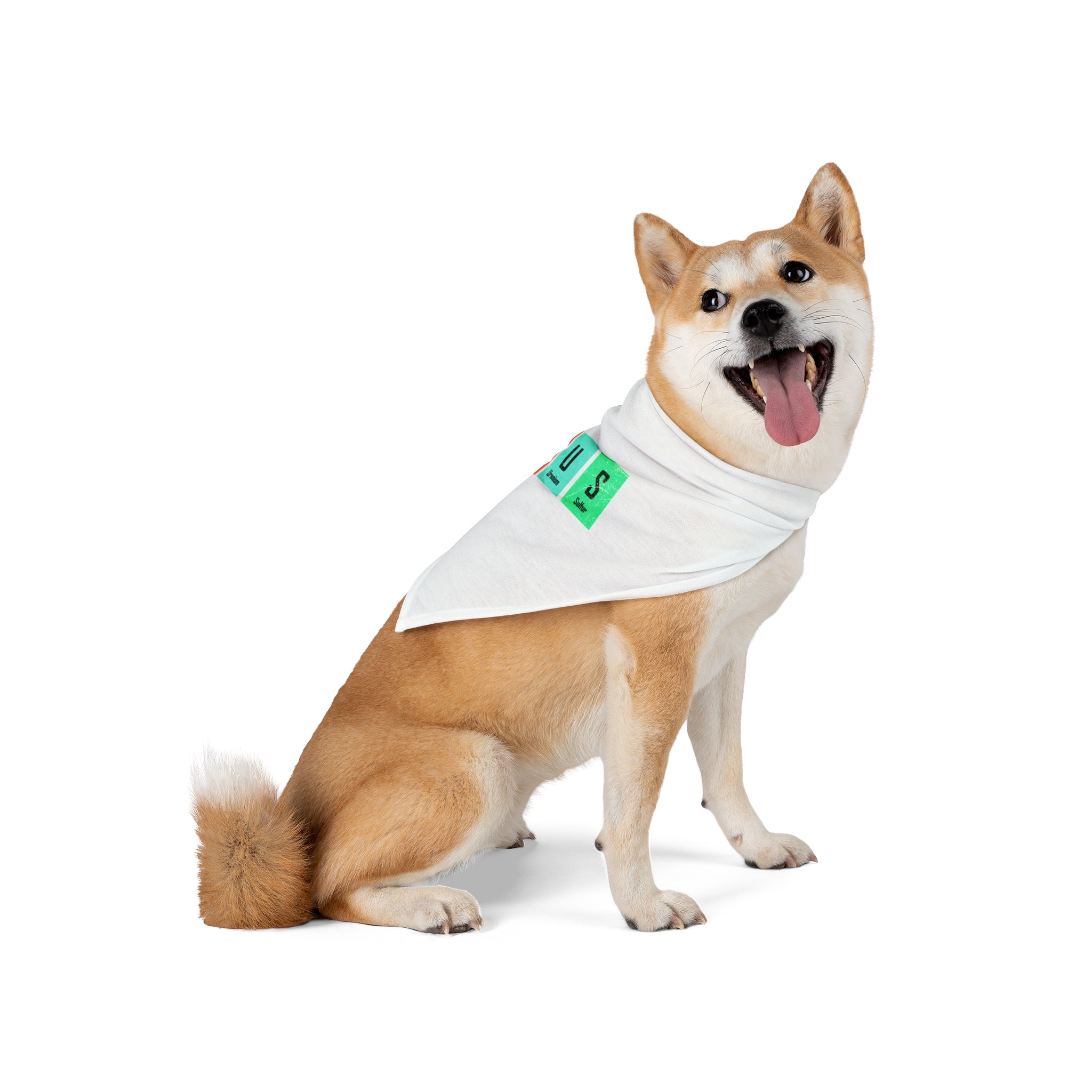 A Shiba Inu dog sits facing slightly to the side, wearing a white polyester Ge-Ni-U-S - Pet Bandana adorned with a green design, and has its tongue out. Perfect for design-loving pets!
