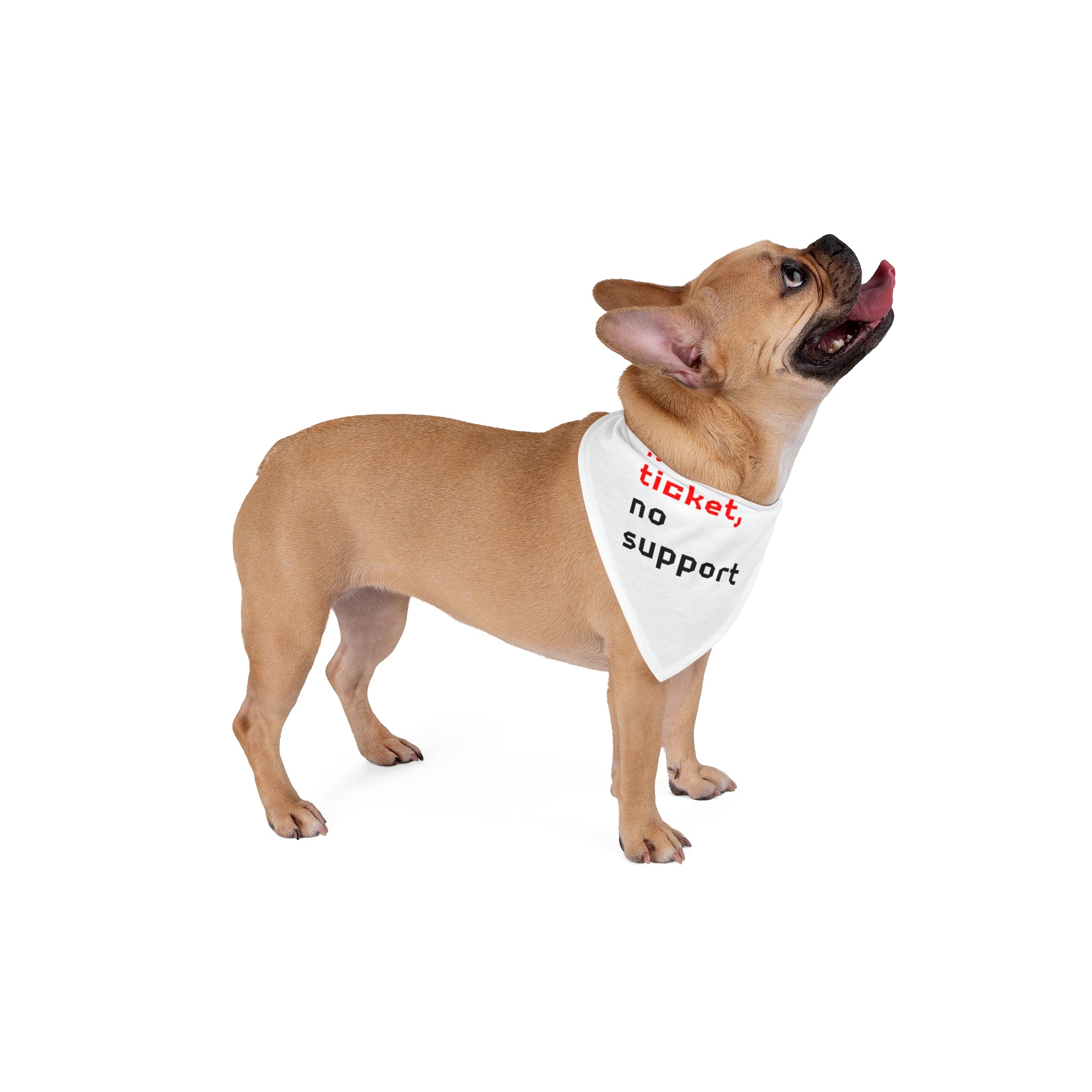 A tan French Bulldog wearing a No Ticket No Support - Pet Bandana, featuring red and black text on a white background and made of soft-spun polyester, stands and looks upwards.