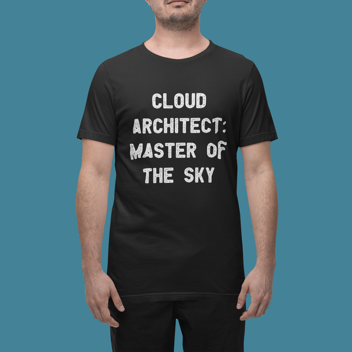 'Cloud Architect: Master of the Sky' t-shirt in black, close-up of man wearing it, funny gift for cloud engineers