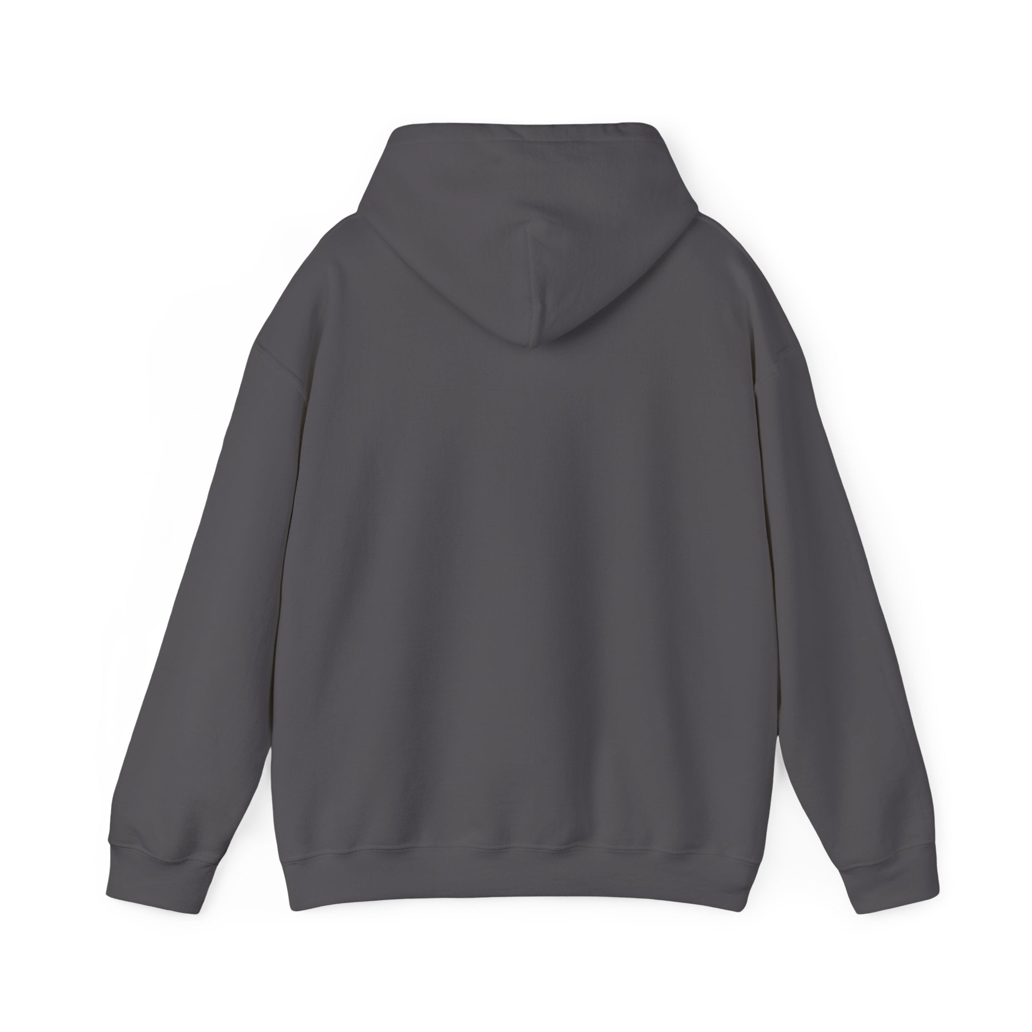 Back view of the RU - Hooded Sweatshirt in plain dark gray with long sleeves and a hood, offering ultimate comfort and style against a white background.