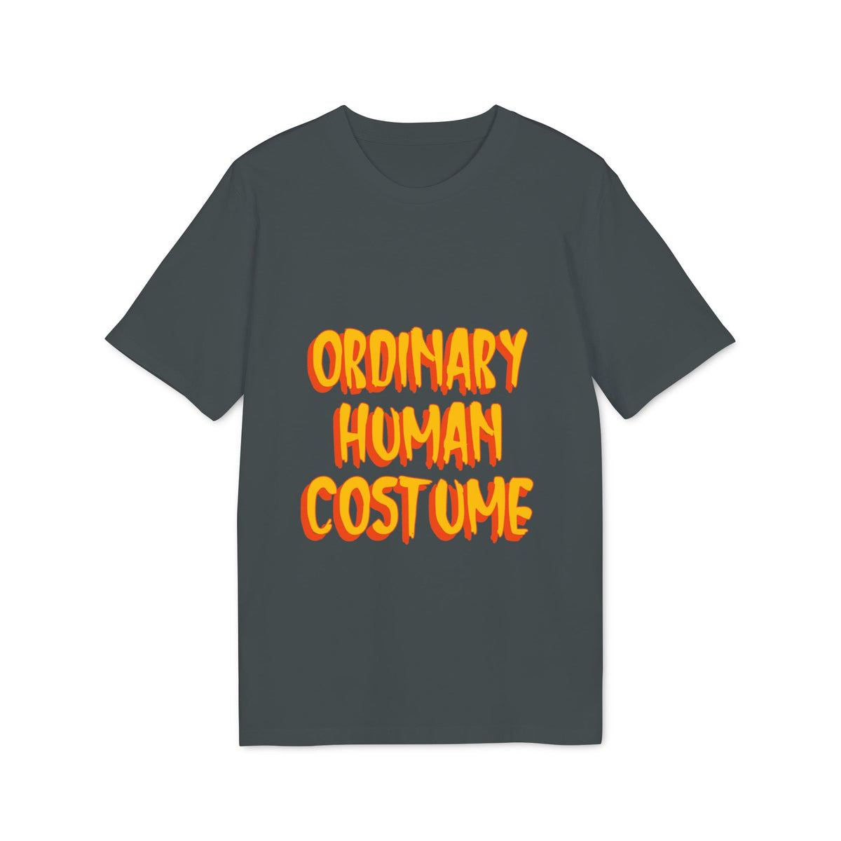 Ordinary Human Costume Organic Tee