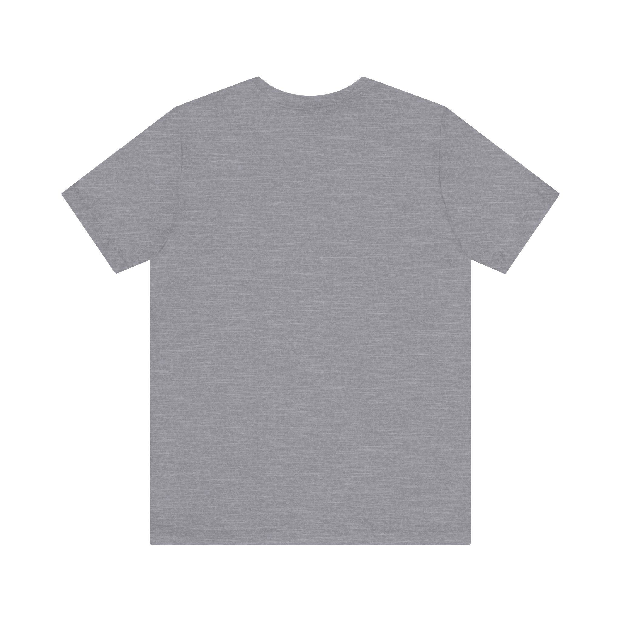 The Floppy disk -T Shirt is a plain, short-sleeve gray cosmos tee made from soft cotton, shown from the back on a white background.