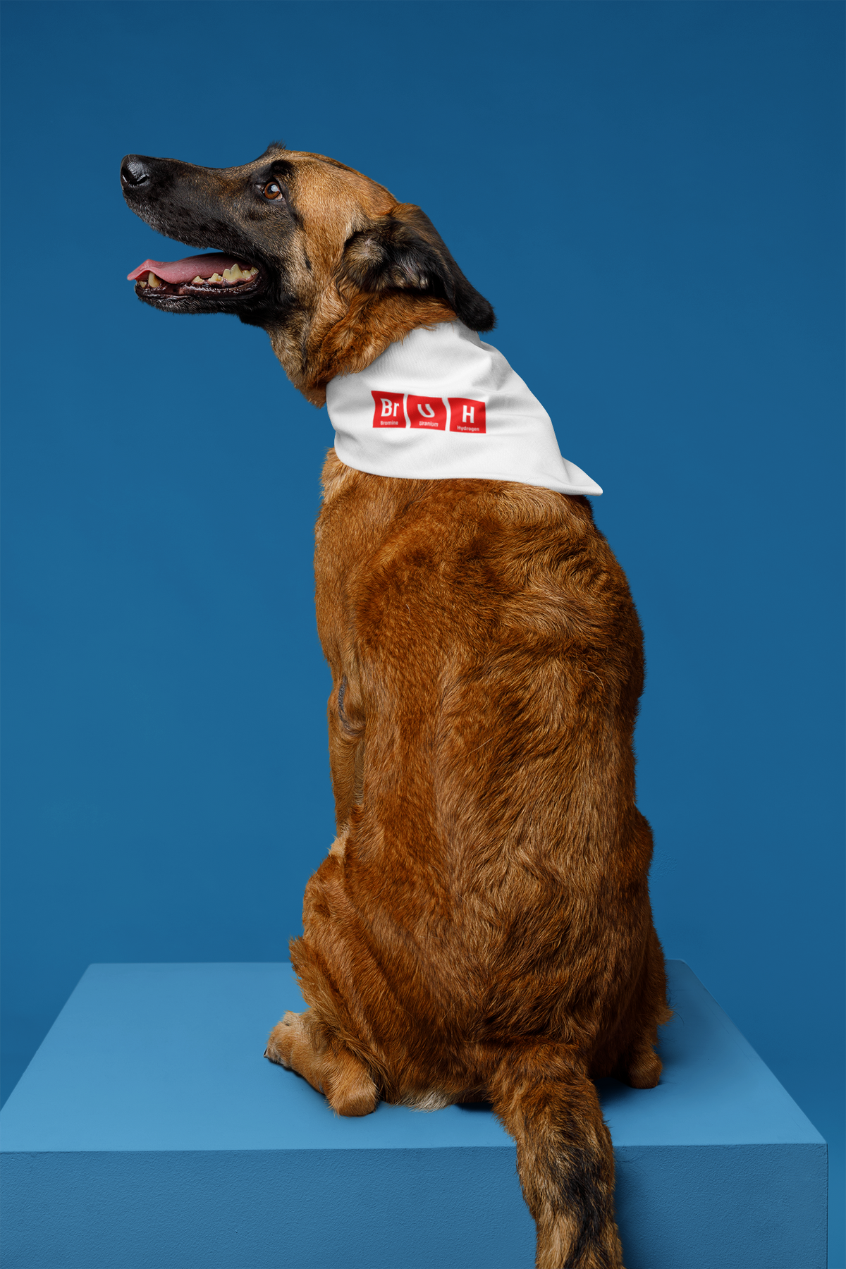 Br-U-H Pet Bandana | Funny Periodic Table Bruh Pun | Geek Pet Gift | Geekpsters