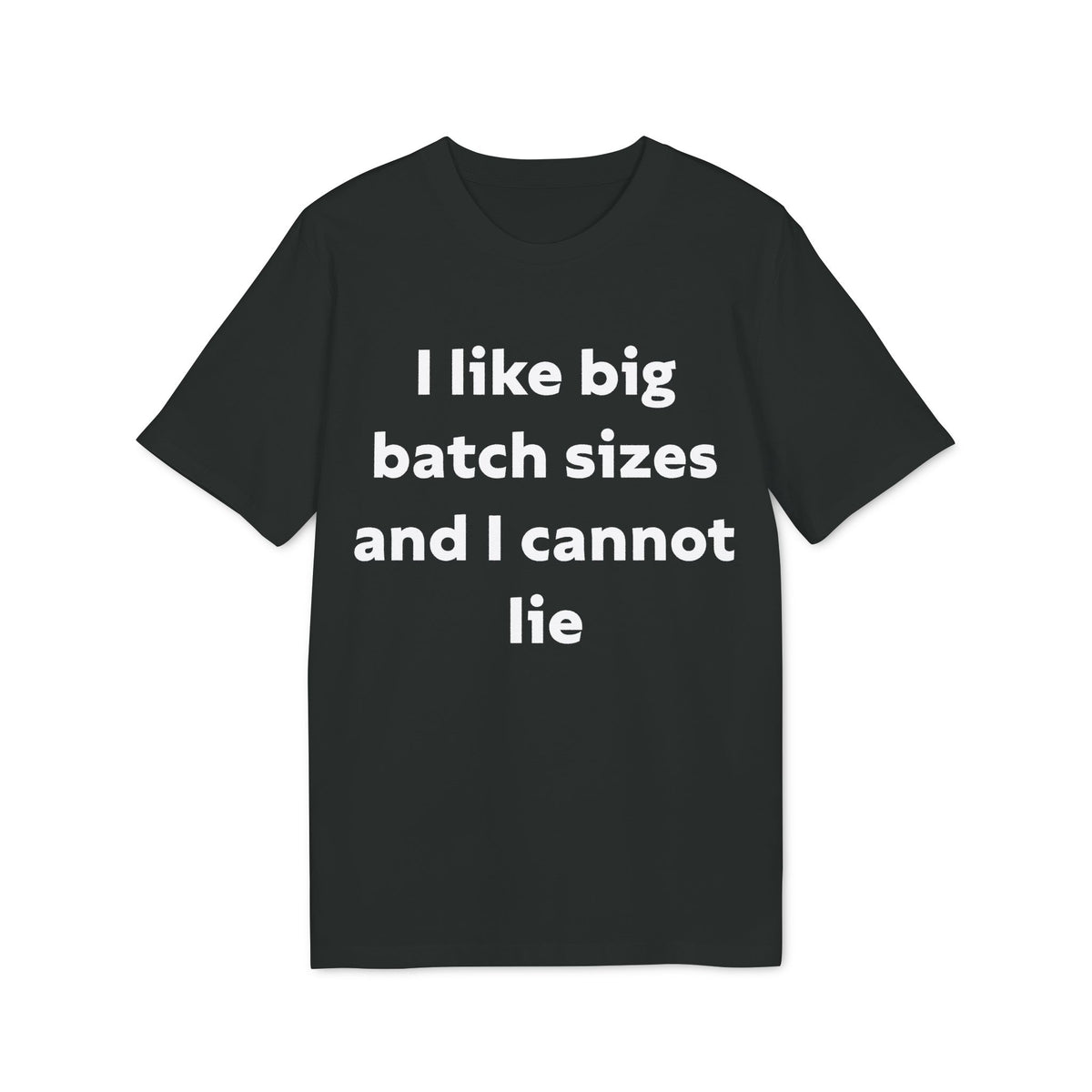 I Like Big Batch Sizes and I Cannot Lie Organic Tee