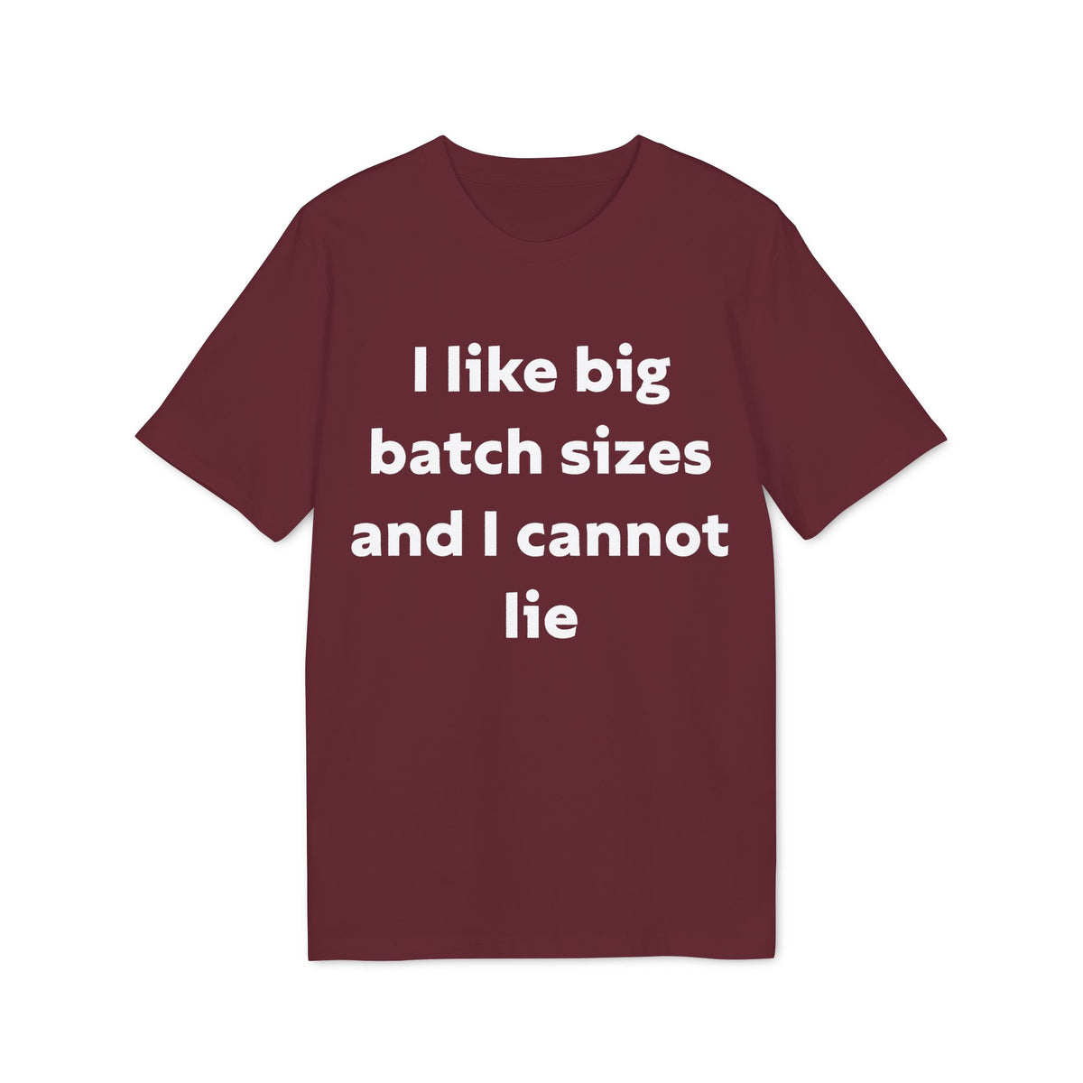I Like Big Batch Sizes and I Cannot Lie Organic Tee