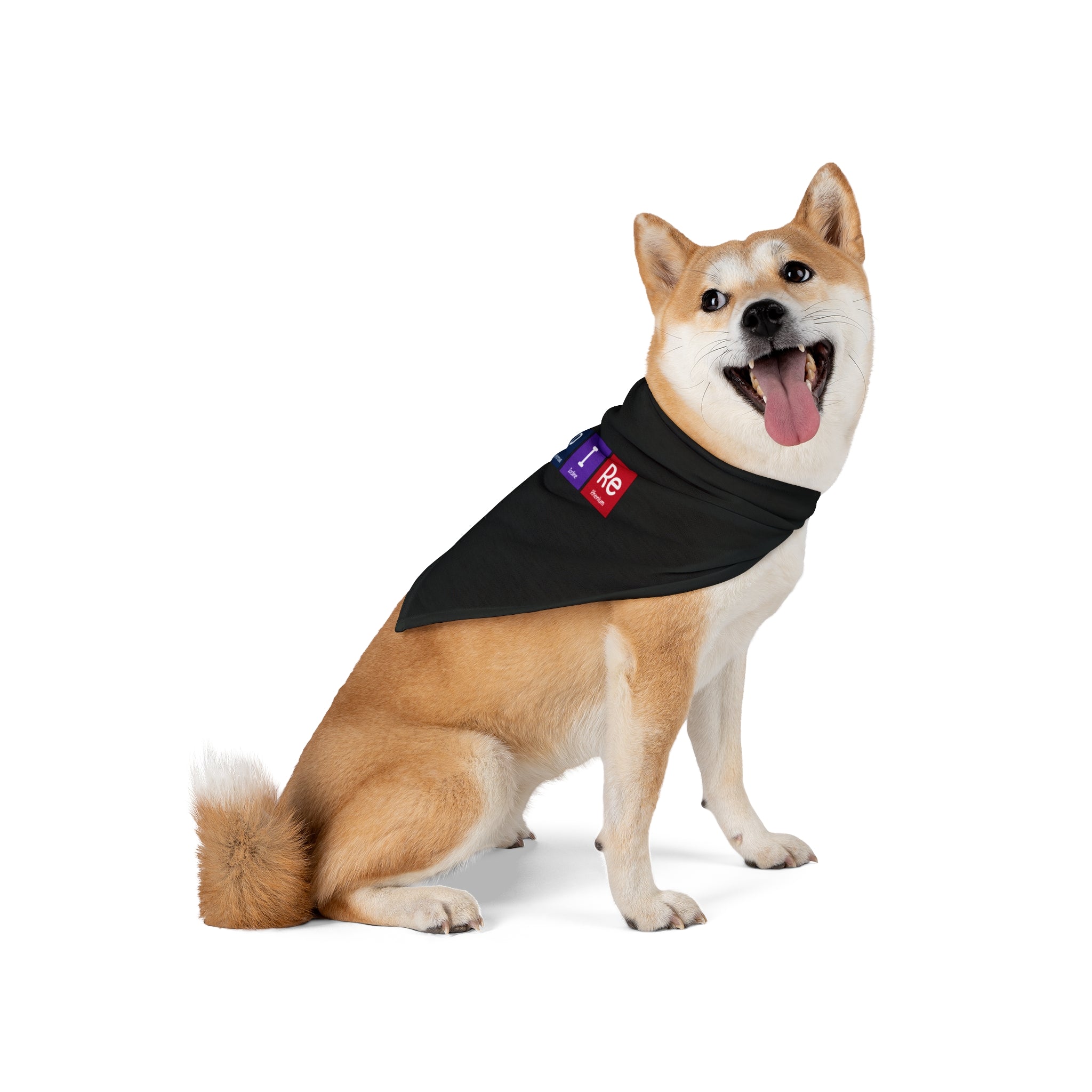 A Shiba Inu dog sits facing the camera with its tongue out, showcasing an In-S-P-I-Re - Pet Bandana adorned with colorful patches. Made from soft-spun polyester, this pet bandana adds a touch of charm to the pet's style, capturing its happy expression perfectly.