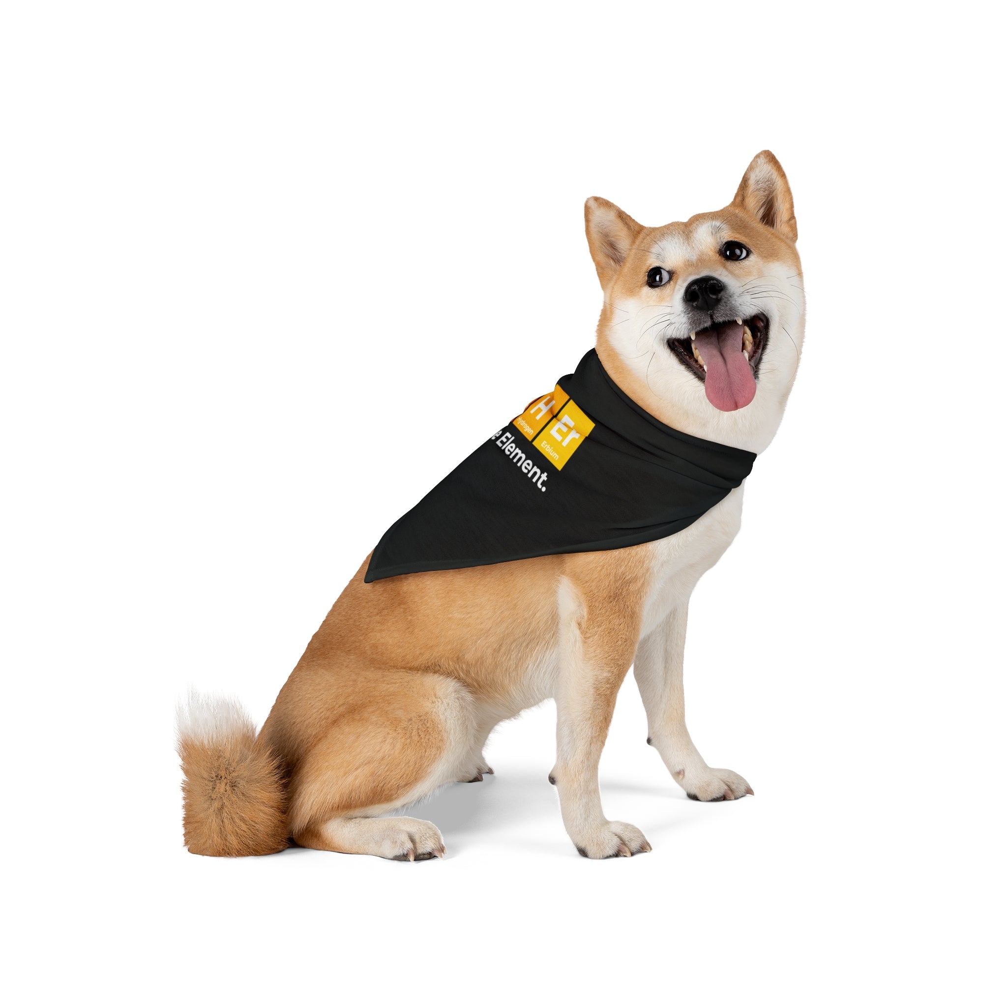 A Shiba Inu dog wearing a Father Graphic - Pet Bandana with a yellow design sits with its mouth open and tongue out against a white background.