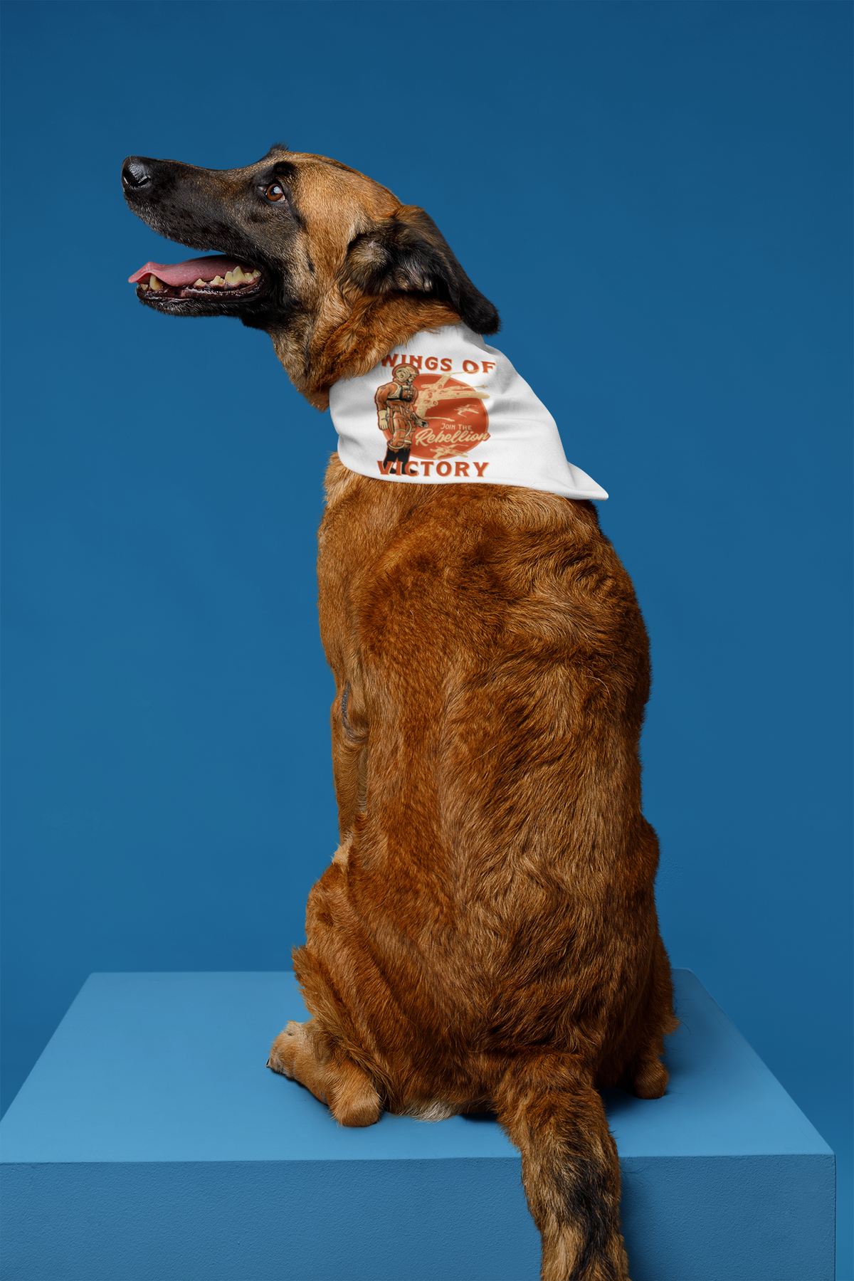 'Wings of Victory' pet bandana in white, dog wearing it on blue background, warrior graphic pet gift