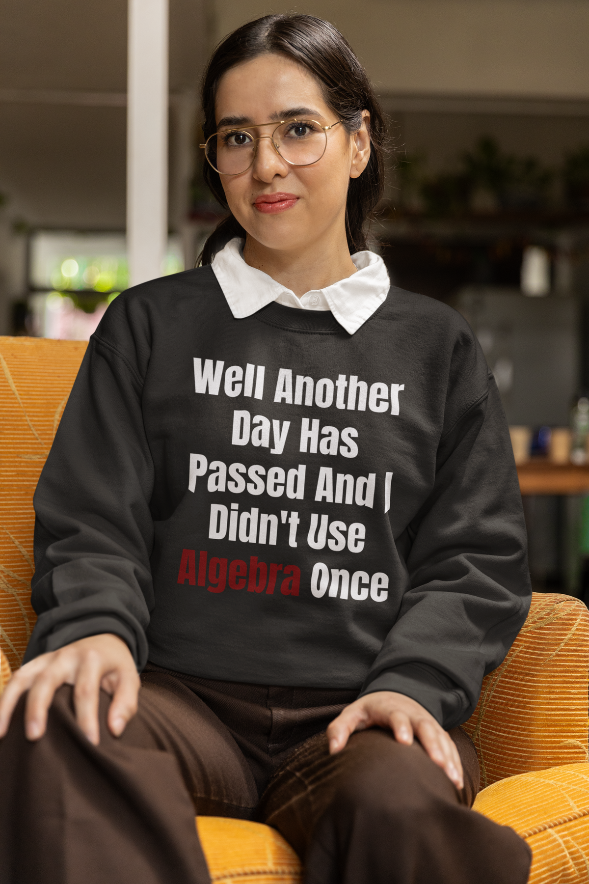 "Well Another Day Has Passed And I Didn't Use Algebra Once" sweatshirt in black, woman sitting indoors