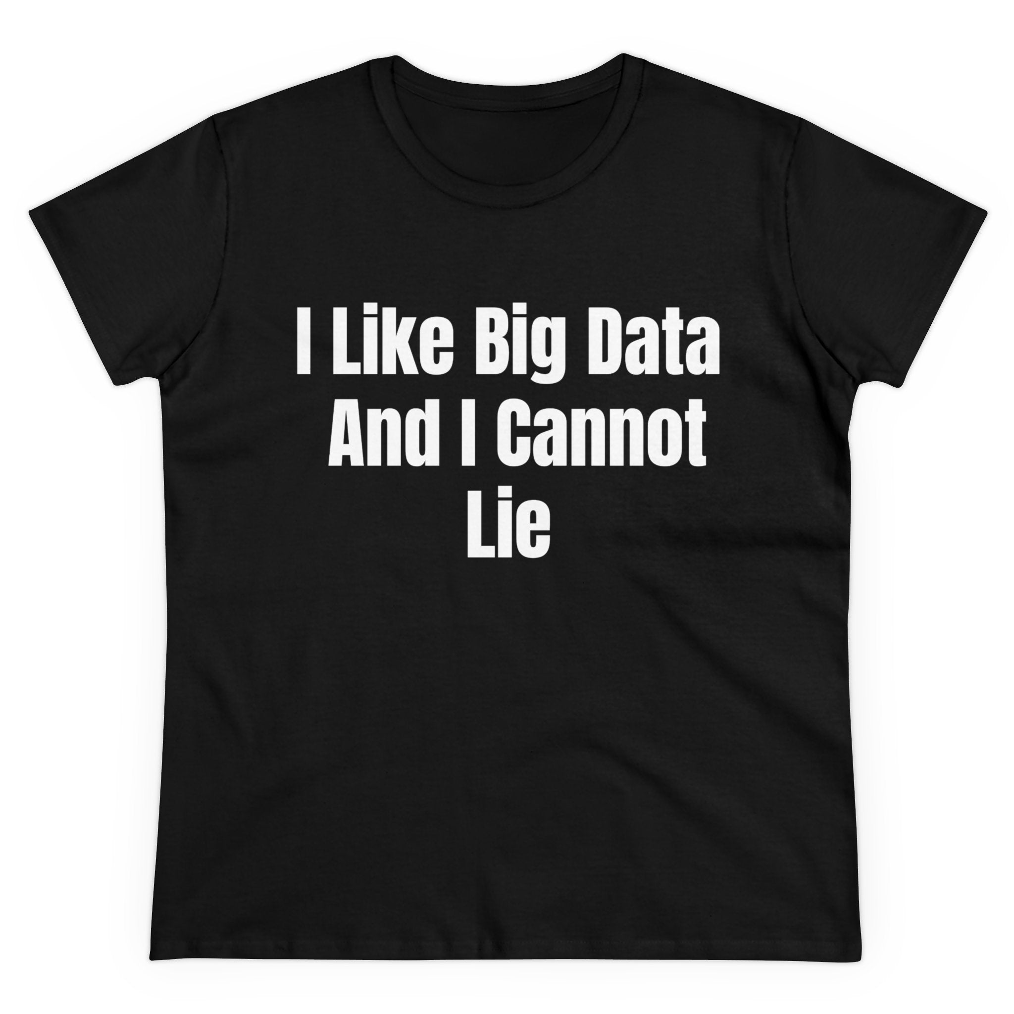 I Like Big Data And I Cannot Lie - Women's Tee