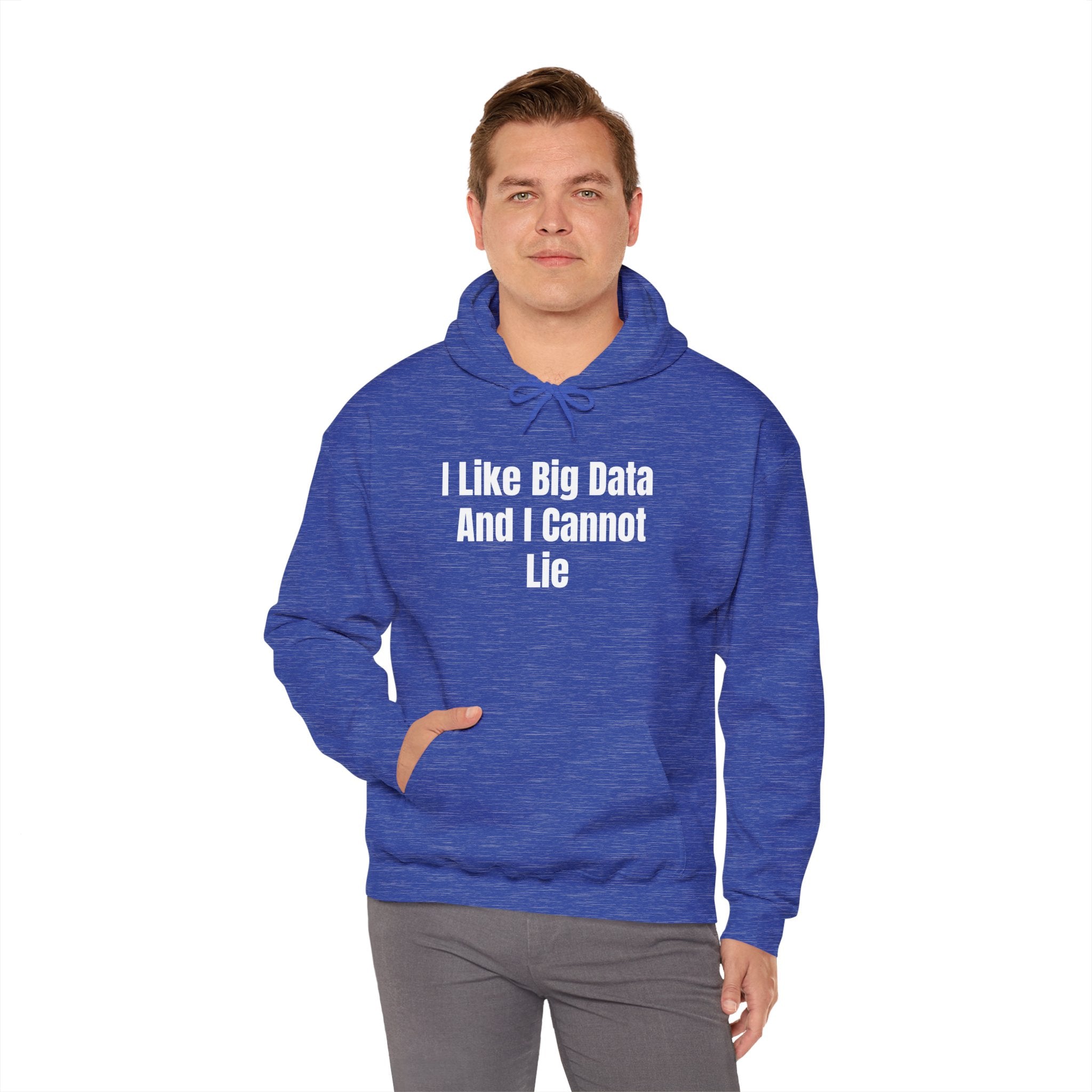 I Like Big Data And I Cannot Lie - Hooded Sweatshirt