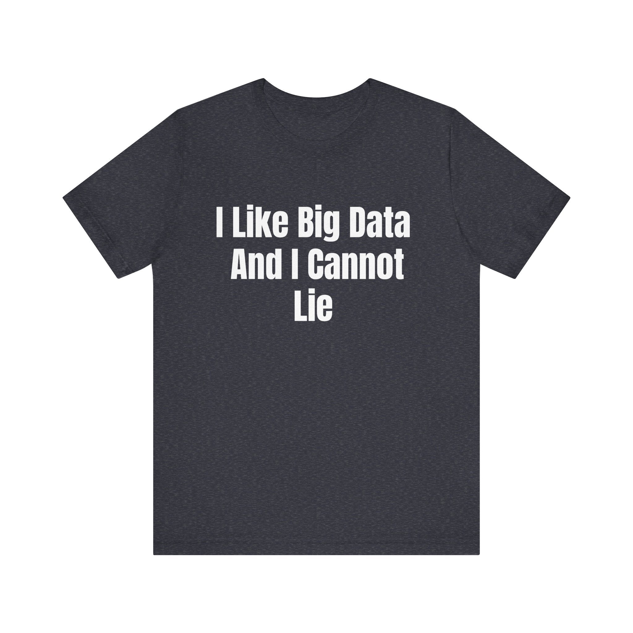 I Like Big Data And I Cannot Lie - T-Shirt