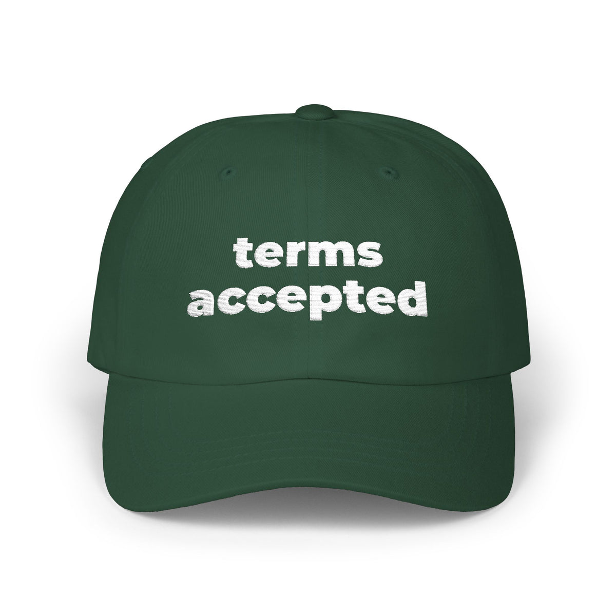 Terms Accepted Dad Cap