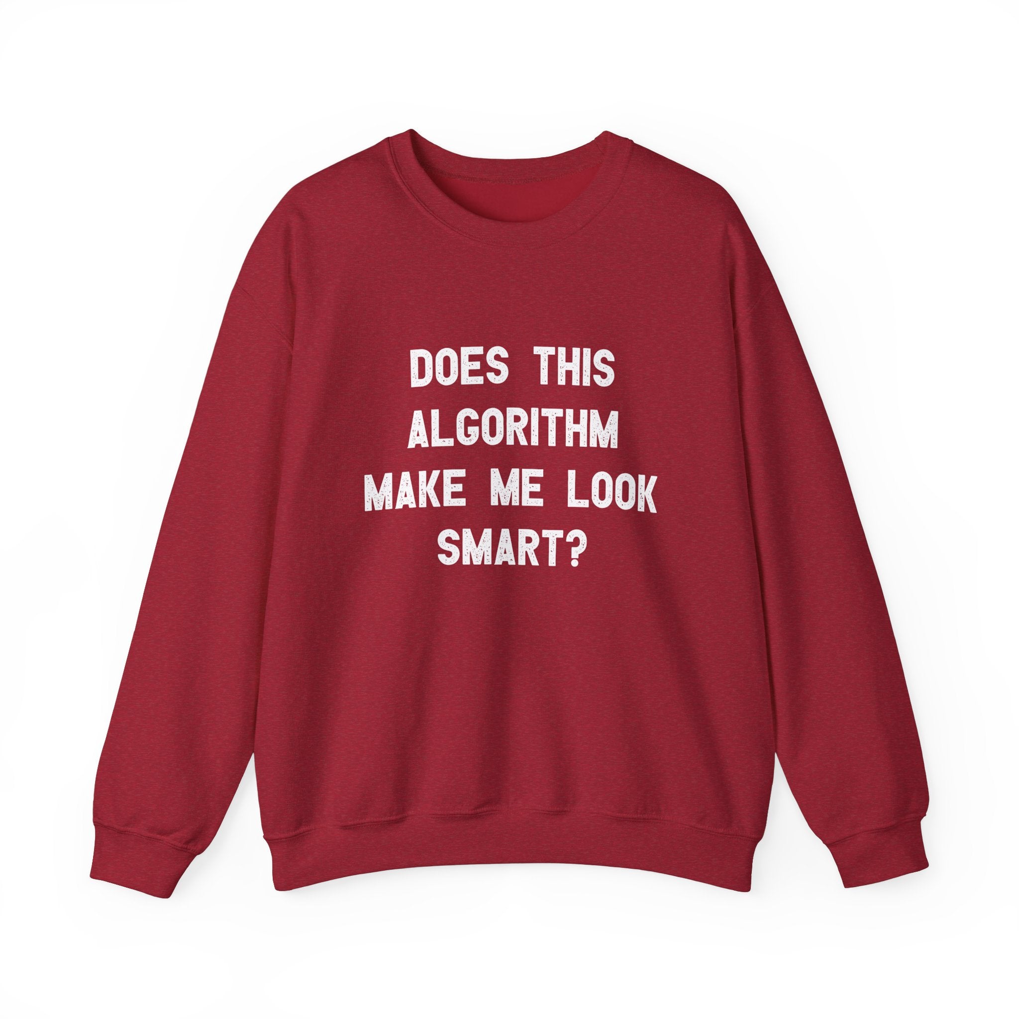 Does This Algorithm Make Me Look Smart -  Sweatshirt