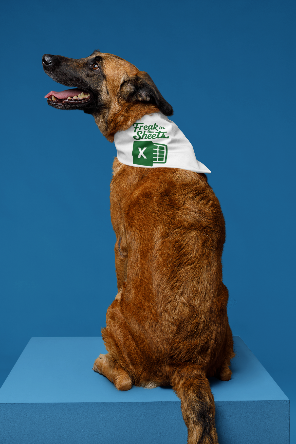 'Freak In The Sheets' dog bandana in white, German shepherd wearing it, funny spreadsheet pun dog gift