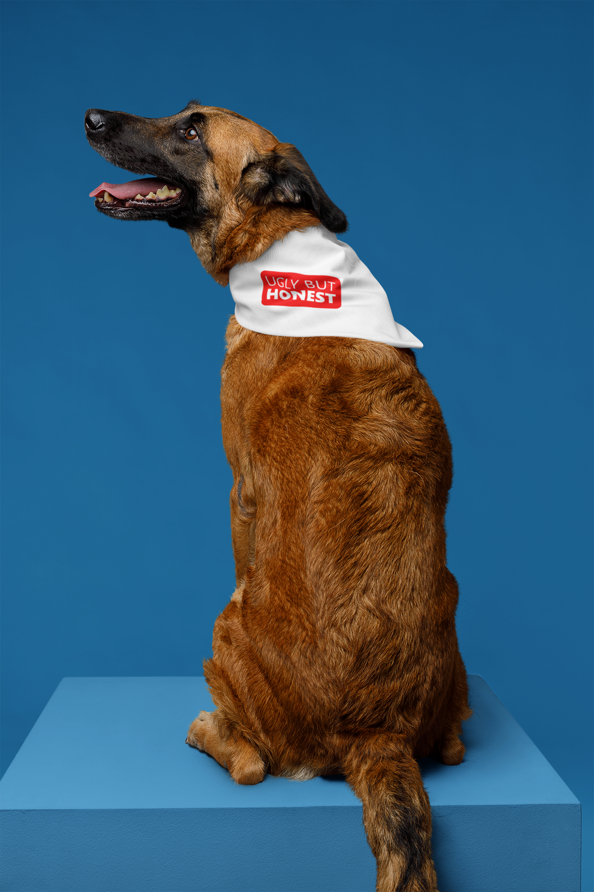 Ugly But Honest Pet Bandana | Funny Sarcastic Dog Accessory | Pet Humor Gift | Geekpsters