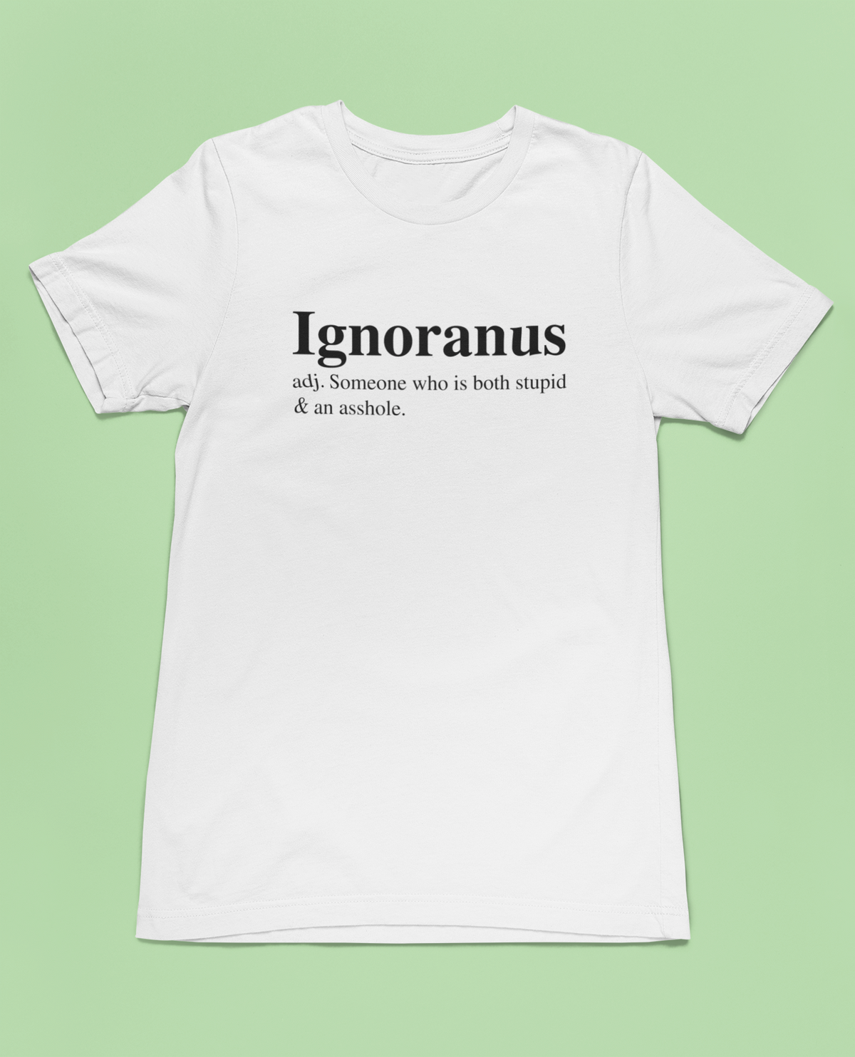 'Ignoranus' definition T-shirt in white, flat lay on pale green background, funny sarcastic gift tee
