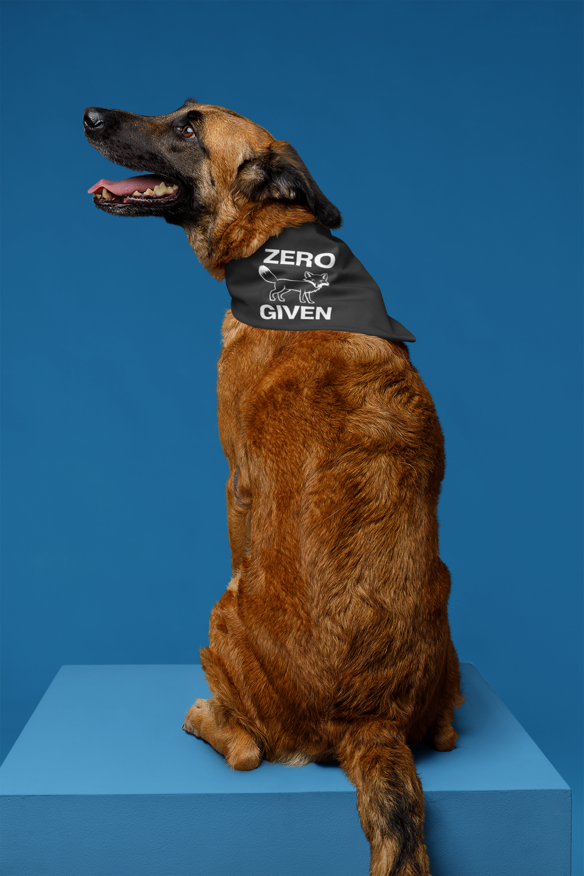 "Zero Fox Given" pet bandana in black, dog wearing it, funny sarcastic gift for dog owners