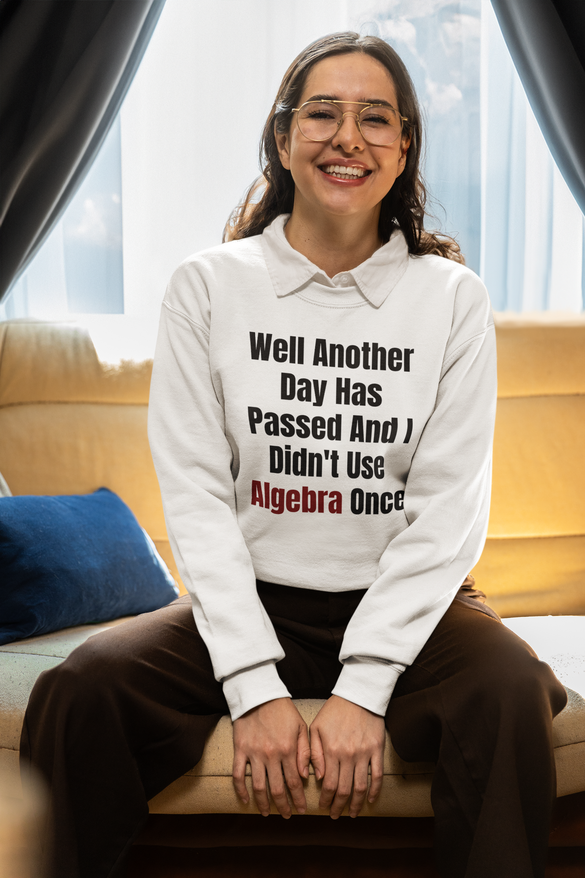 "Well Another Day Has Passed And I Didn't Use Algebra Once" sweatshirt in white, woman sitting indoors