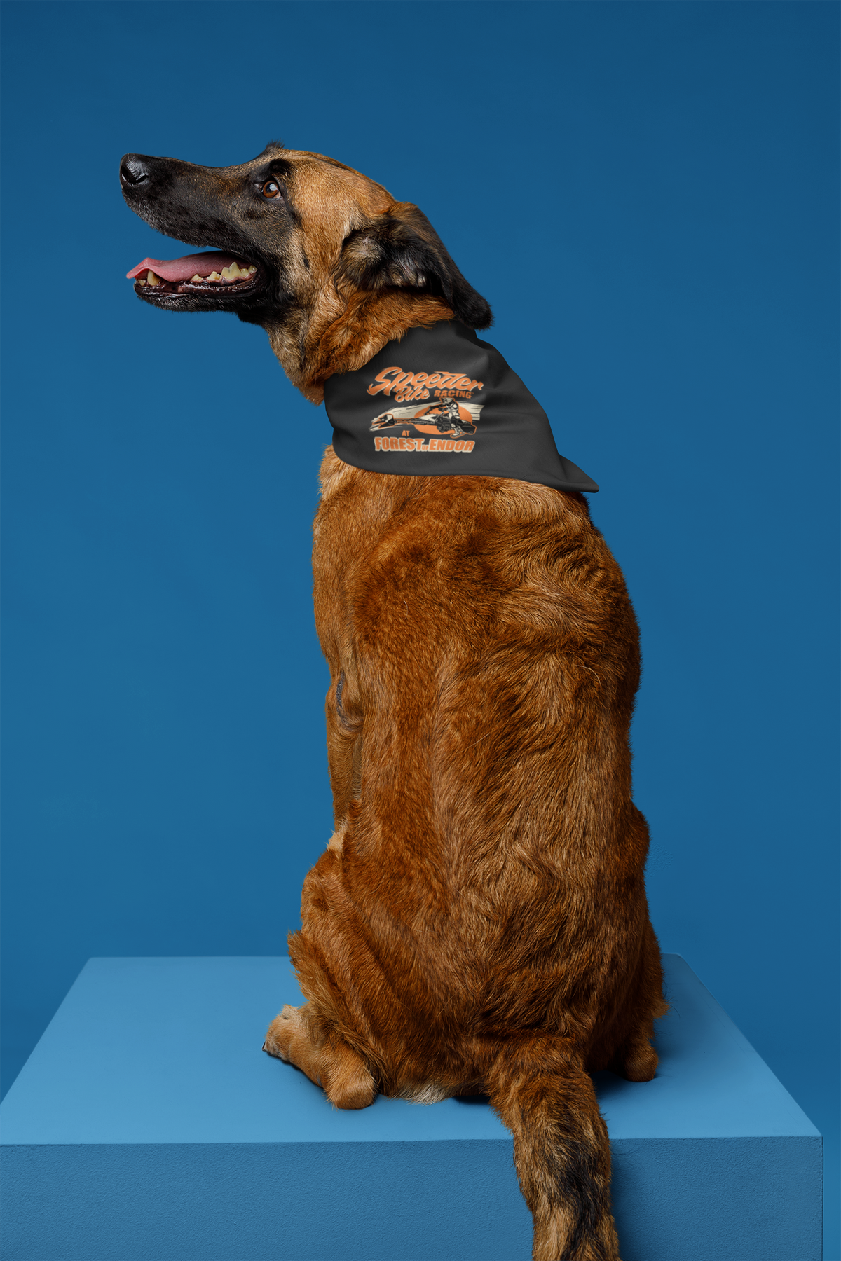Speeder Bike Racing Pet Bandana | Sci-Fi Dog | Geekpsters