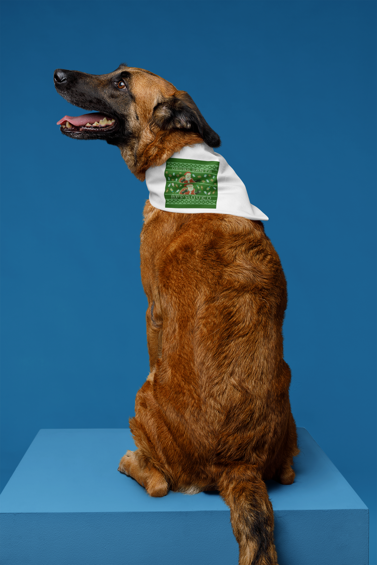 'Drunk Santa Approved' pet bandana in black, dog wearing it on blue backdrop, funny christmas dog gift