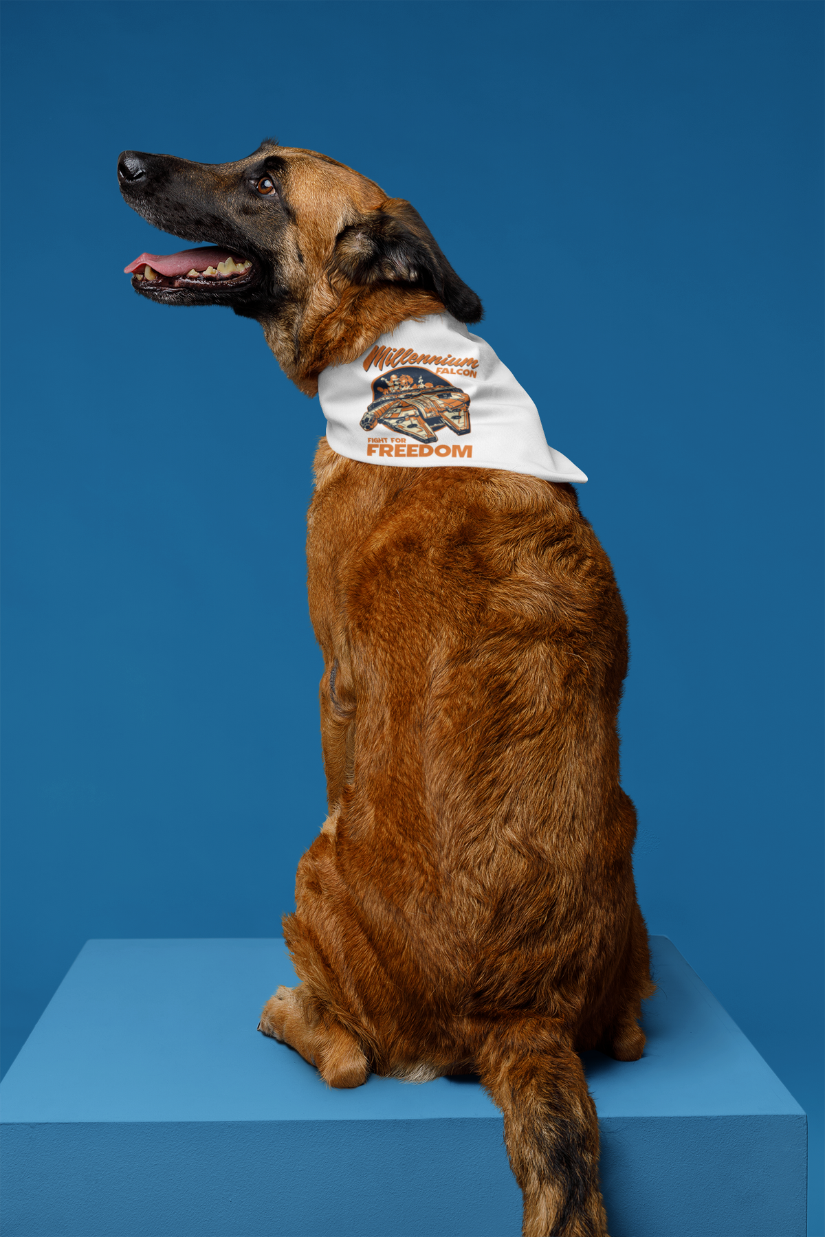Falcon Pet Bandana | Bird Graphic Dog Accessory | Geekpsters